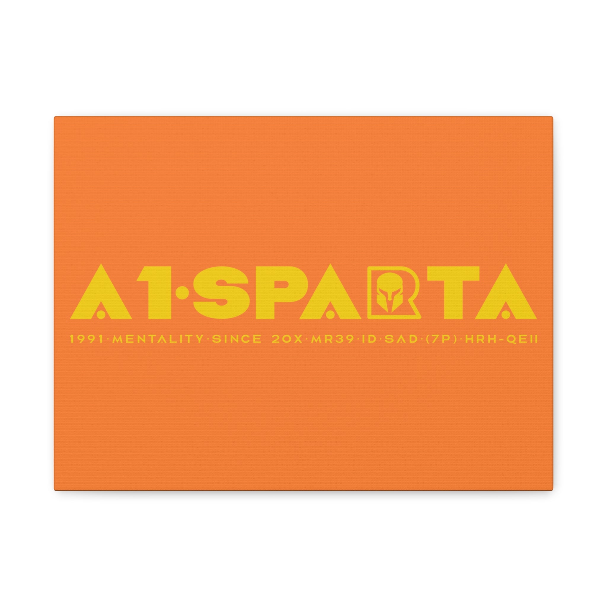 Canvas Gallery Wraps (A1•SPARTA RANGE)