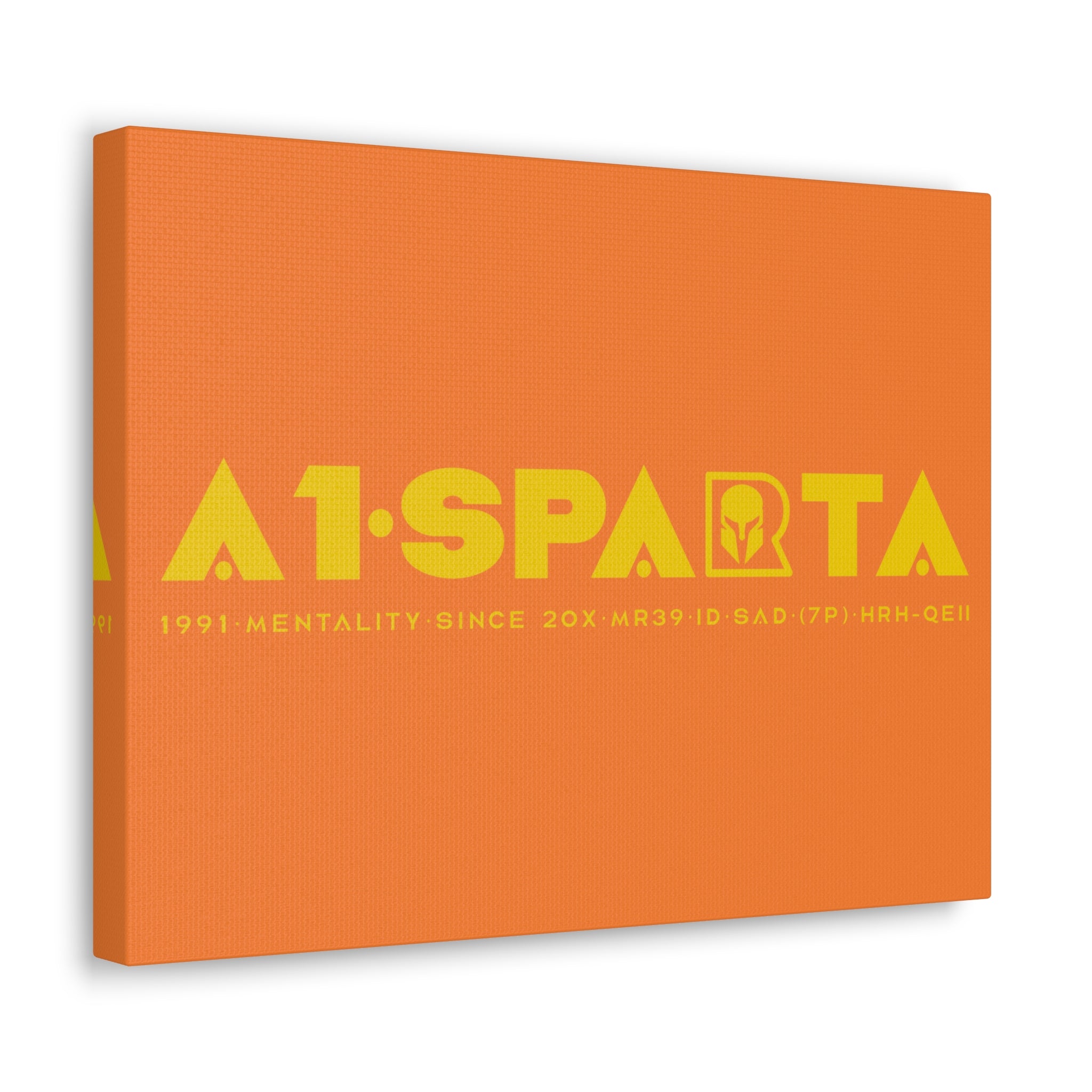 Canvas Gallery Wraps (A1•SPARTA RANGE)