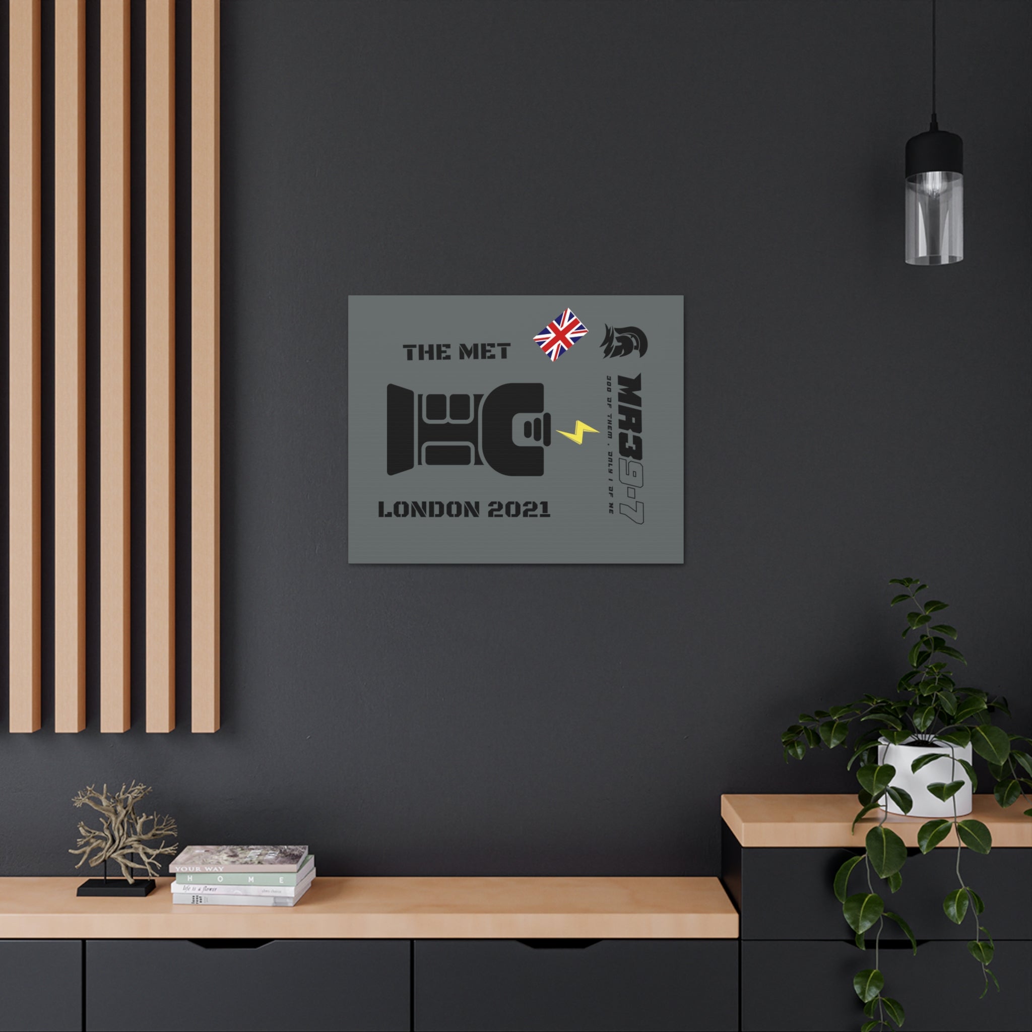 Canvas Gallery Wraps MR 39 Tasered by The MET 2021