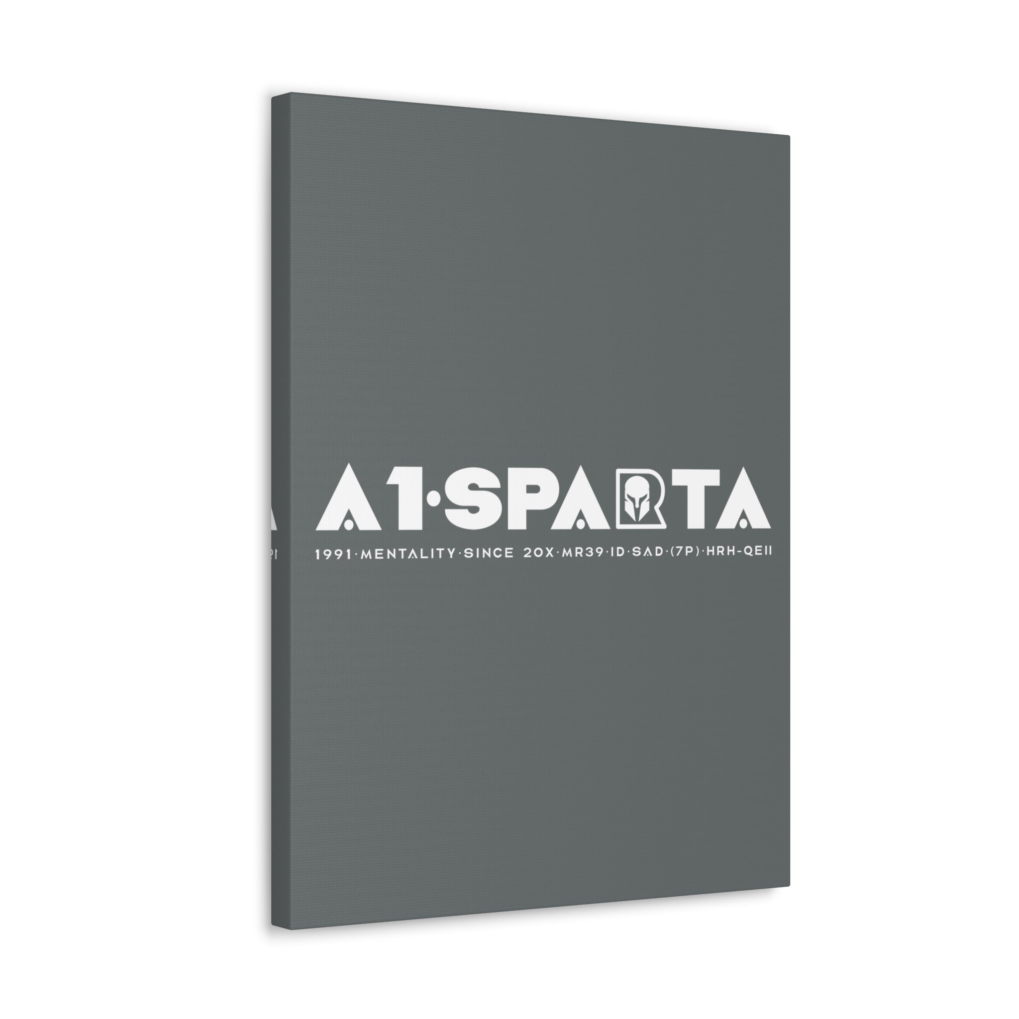 Canvas Gallery Wraps (A1•SPARTA RANGE)