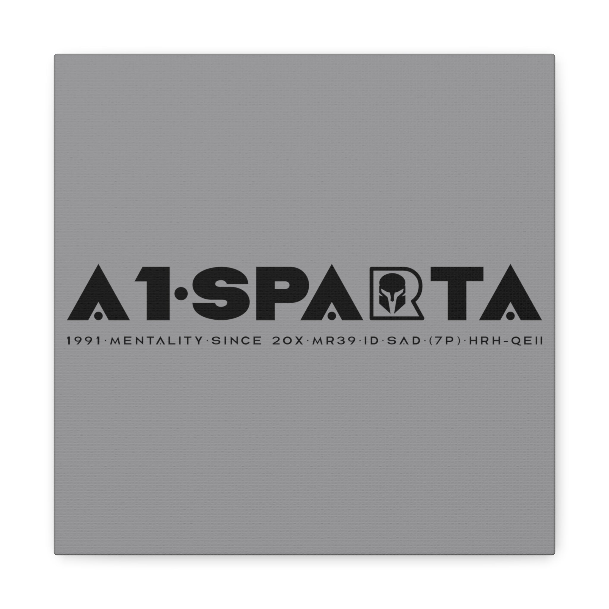 Canvas Gallery Wraps (A1•SPARTA RANGE)