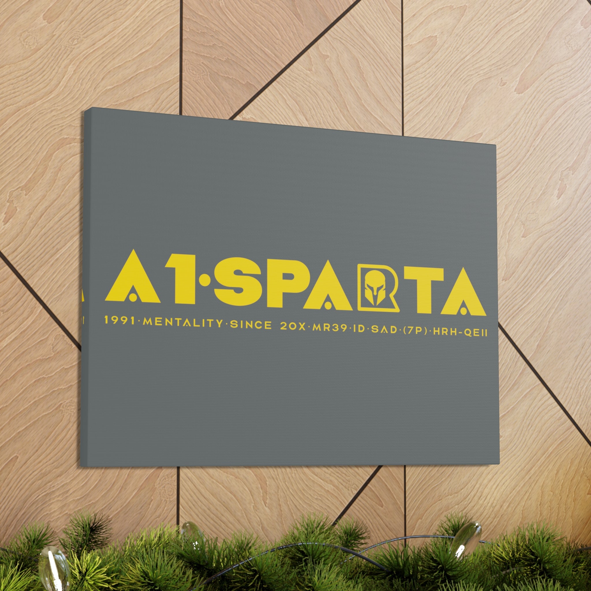 Canvas Gallery Wraps (A1•SPARTA RANGE)