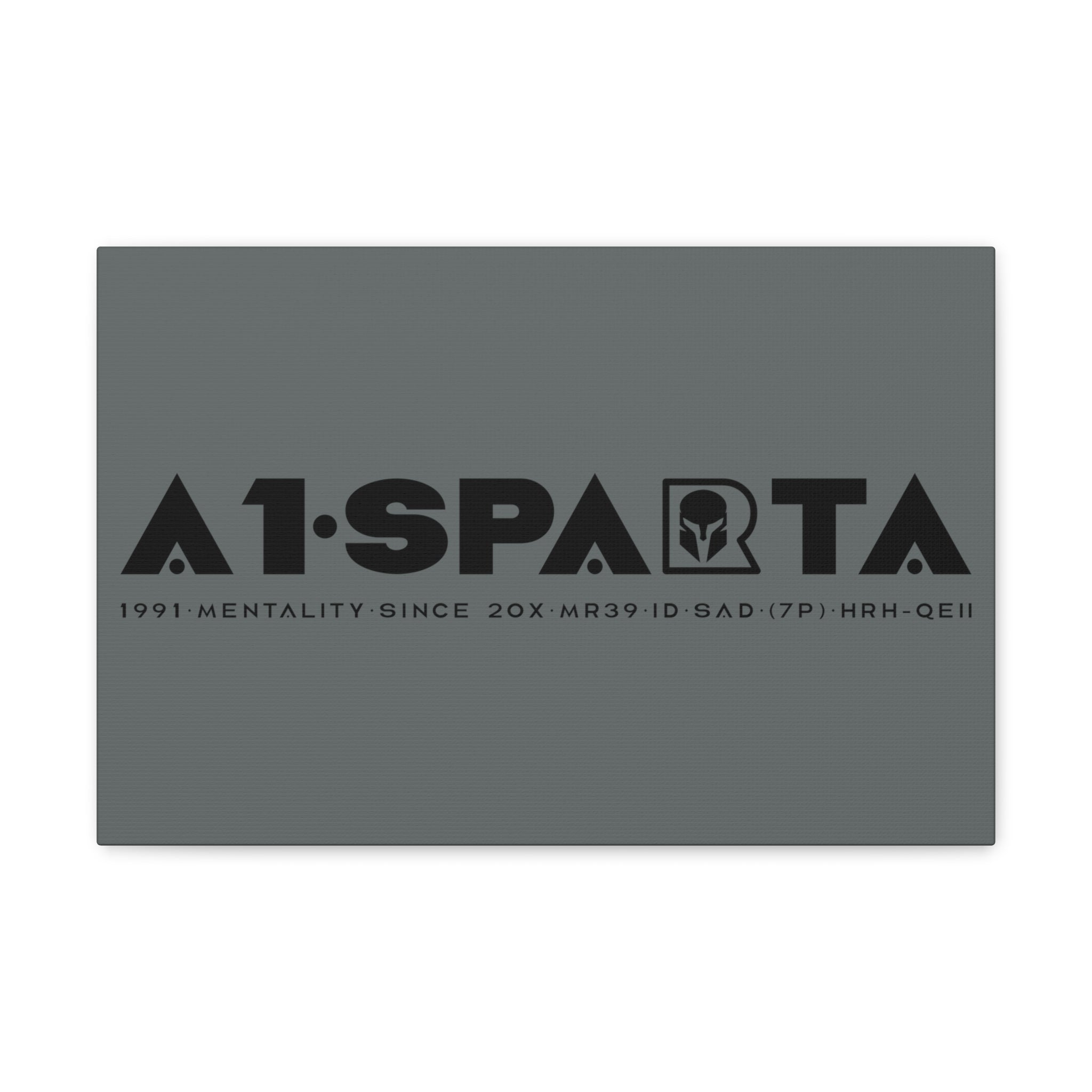 Canvas Gallery Wraps (A1•SPARTA RANGE)