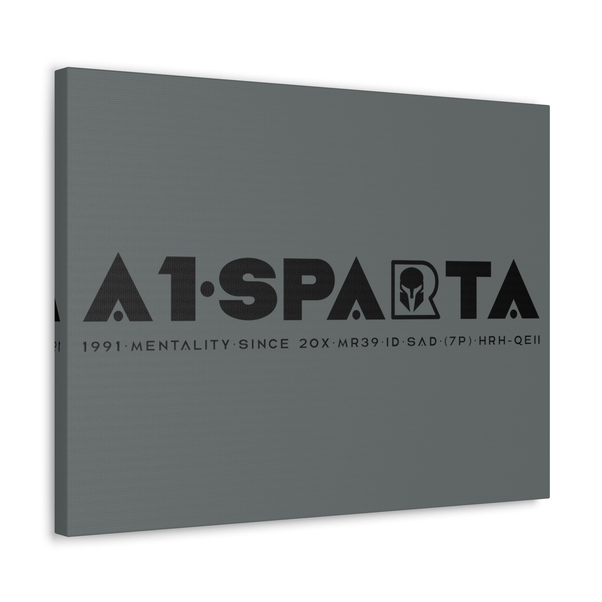 Canvas Gallery Wraps (A1•SPARTA RANGE)