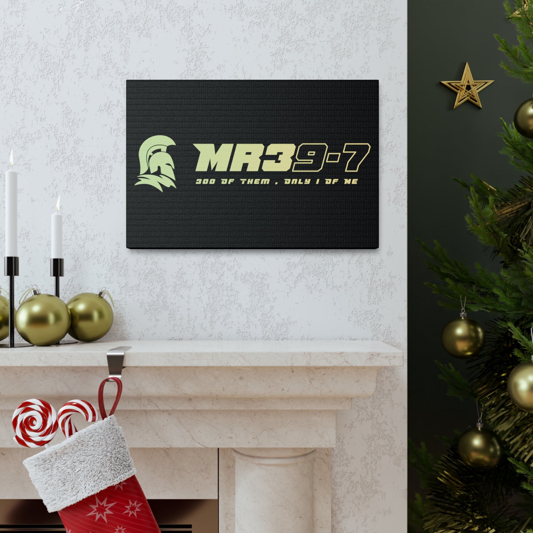 Canvas Gallery Wraps (A1•SPARTA RANGE)