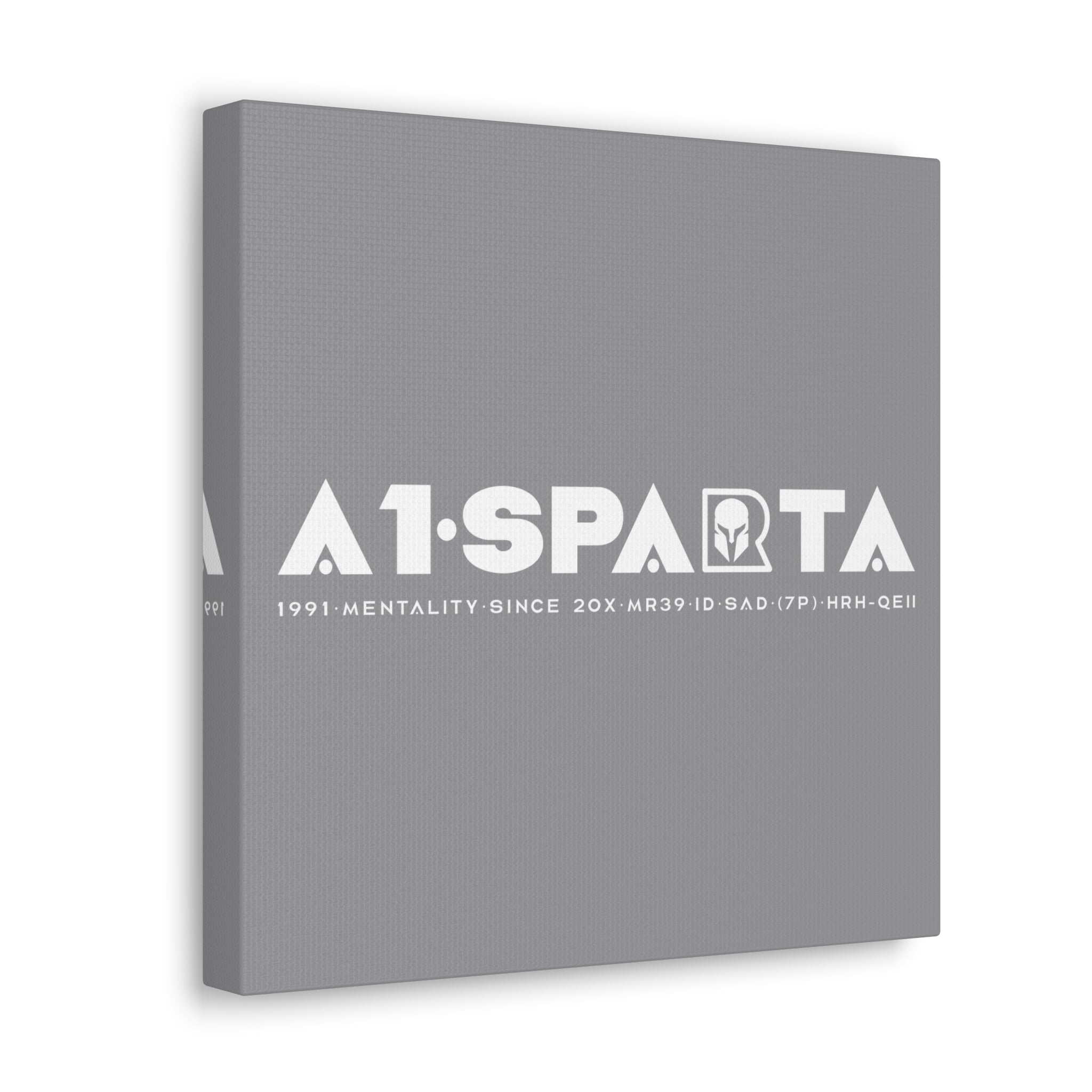Canvas Gallery Wraps (A1•SPARTA RANGE)