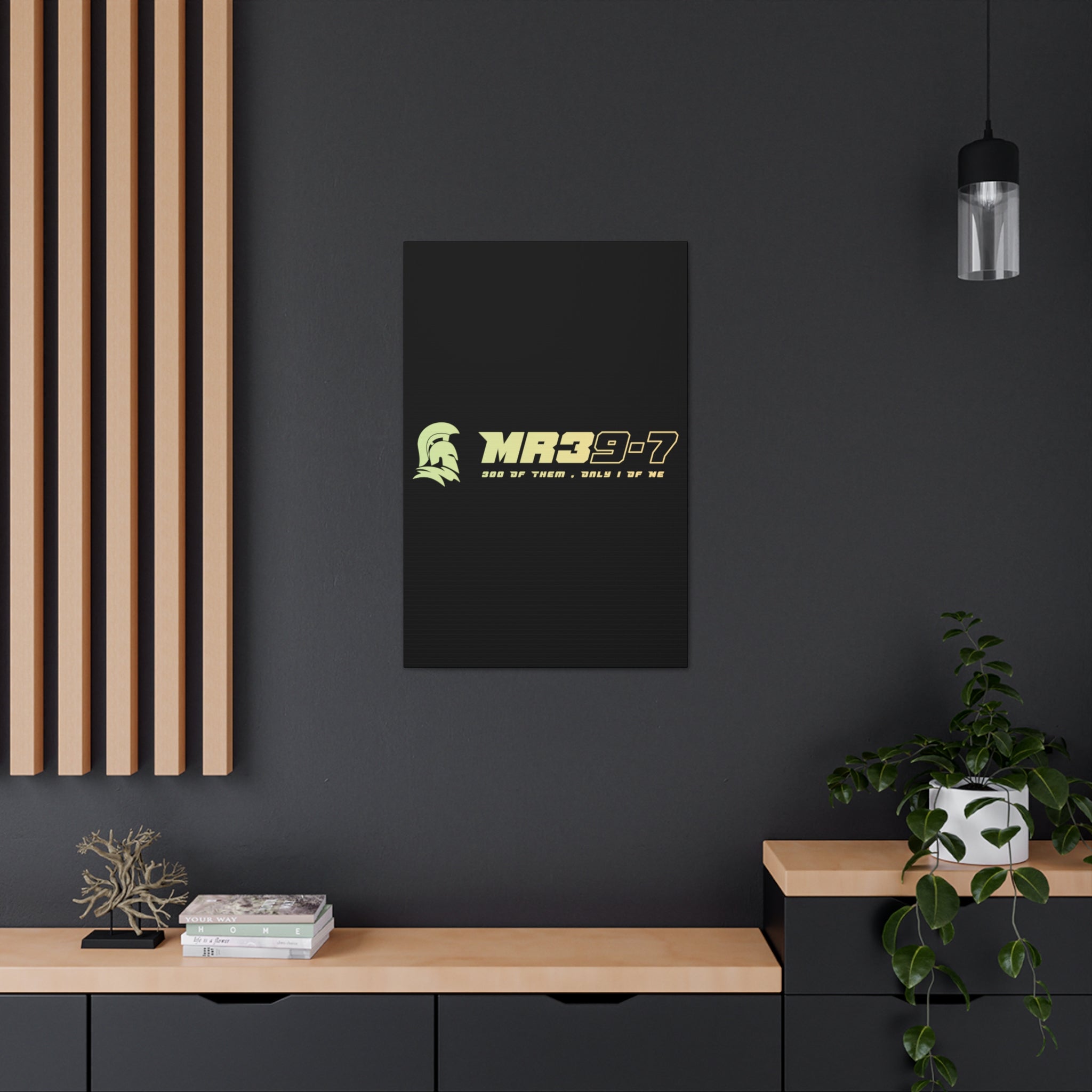 Canvas Gallery Wraps (A1•SPARTA RANGE)