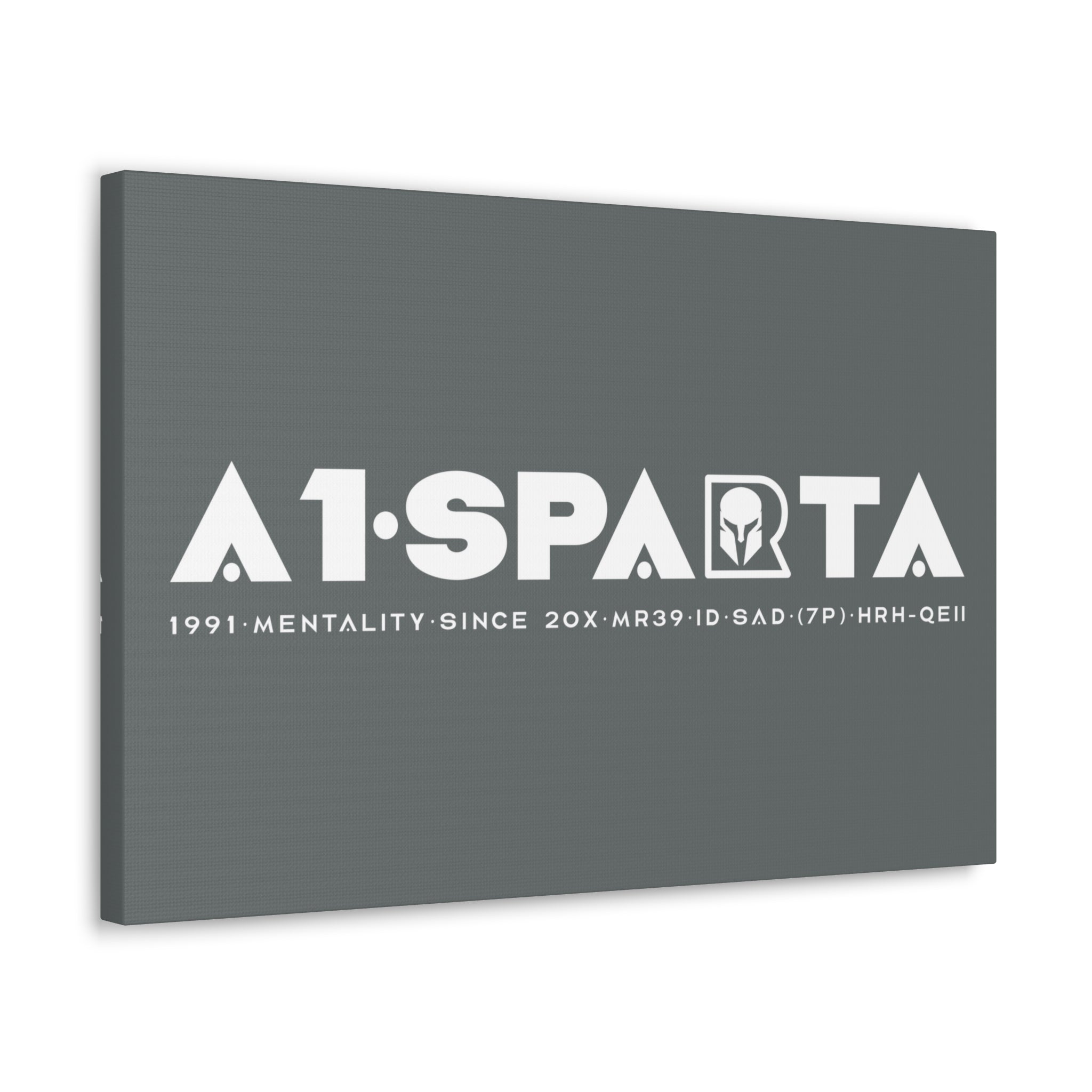 Canvas Gallery Wraps (A1•SPARTA RANGE)