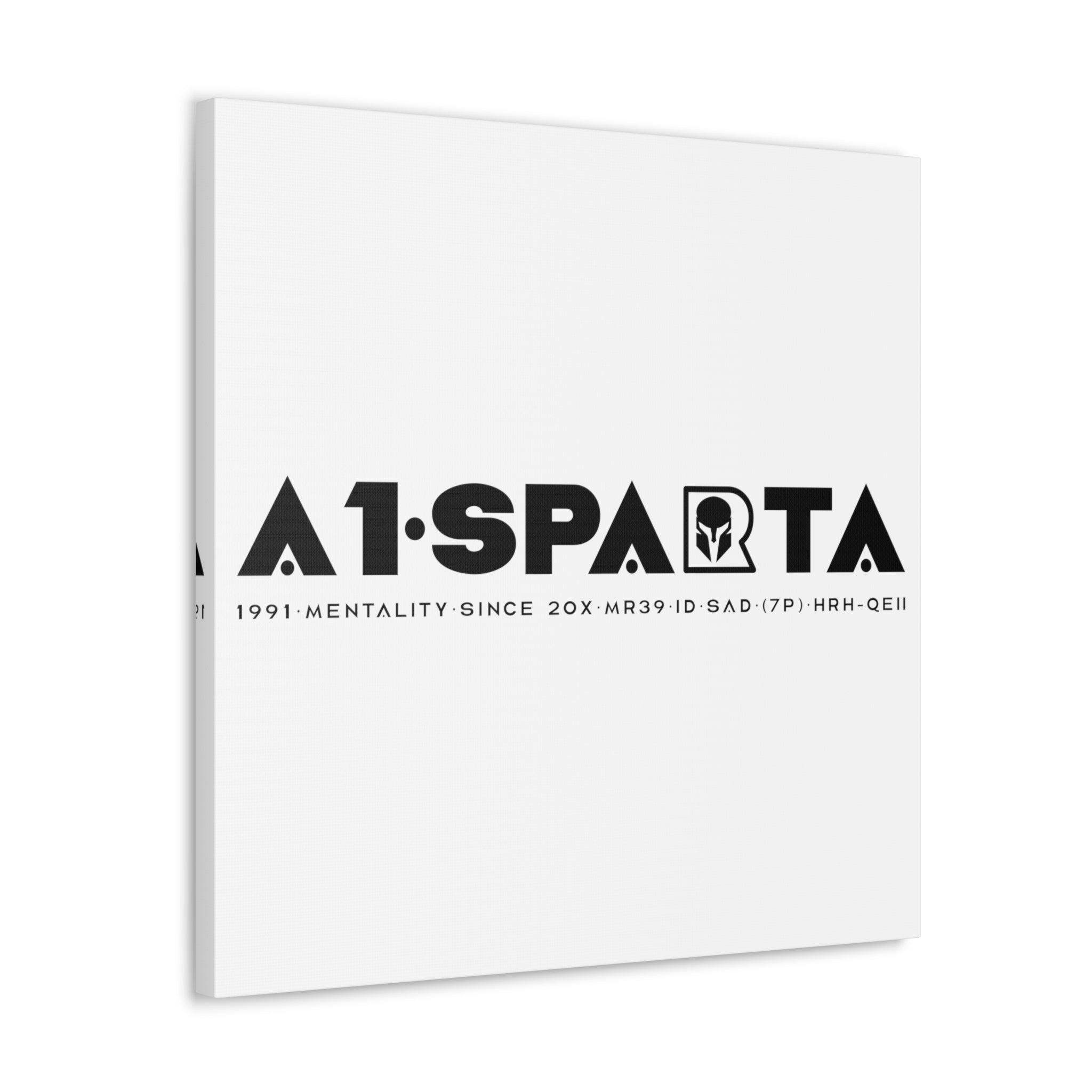 Canvas Gallery Wraps (A1•SPARTA RANGE)