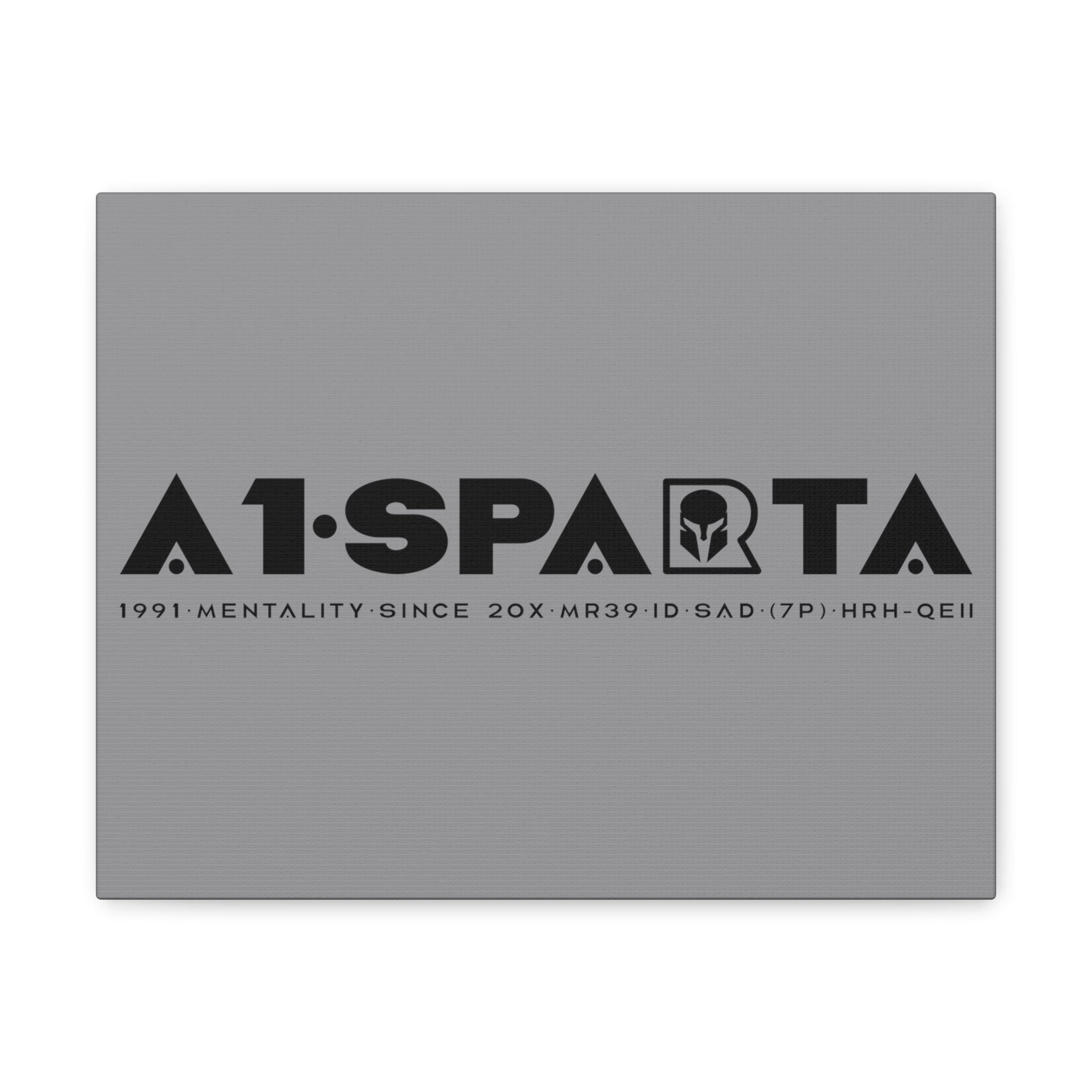 Canvas Gallery Wraps (A1•SPARTA RANGE)