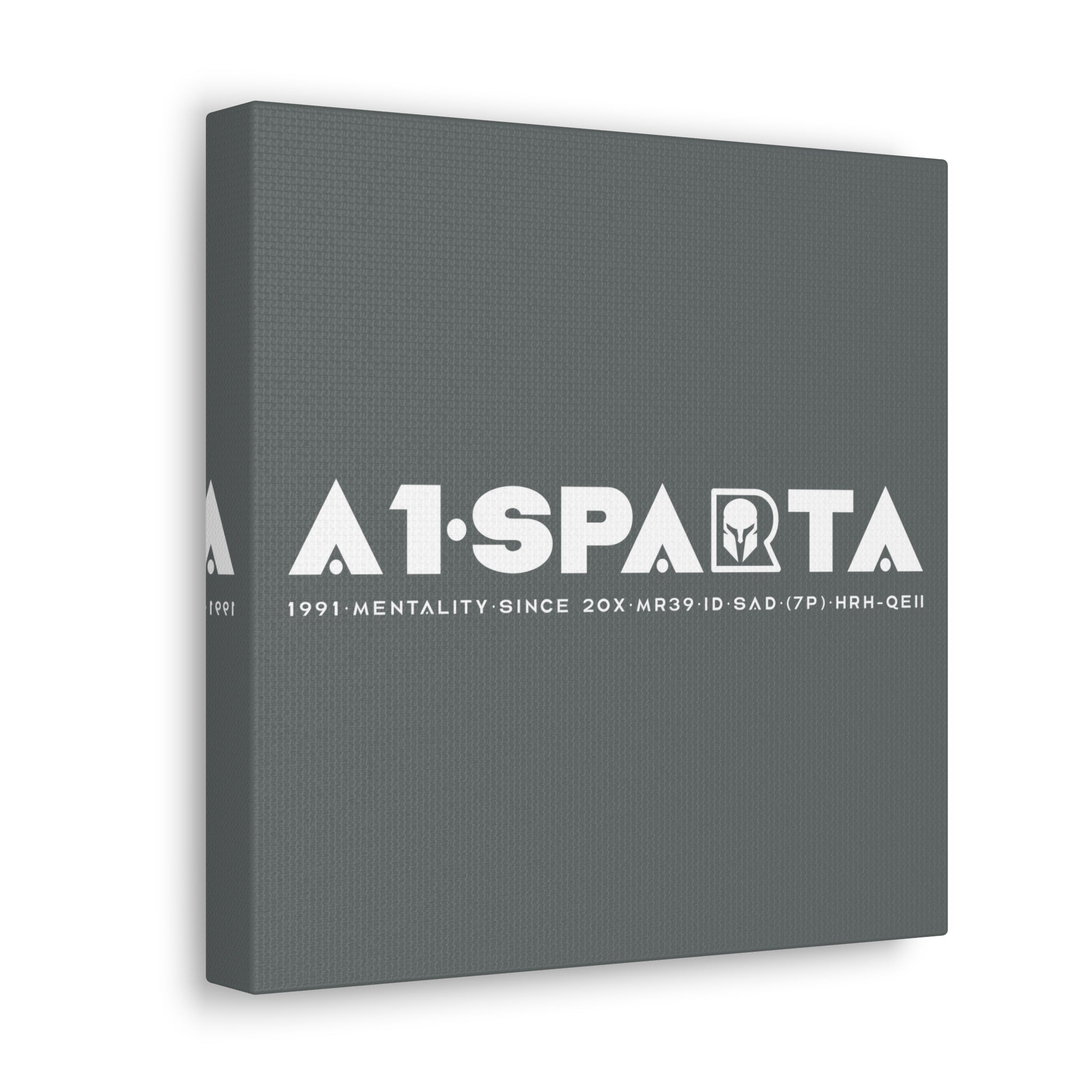 Canvas Gallery Wraps (A1•SPARTA RANGE)