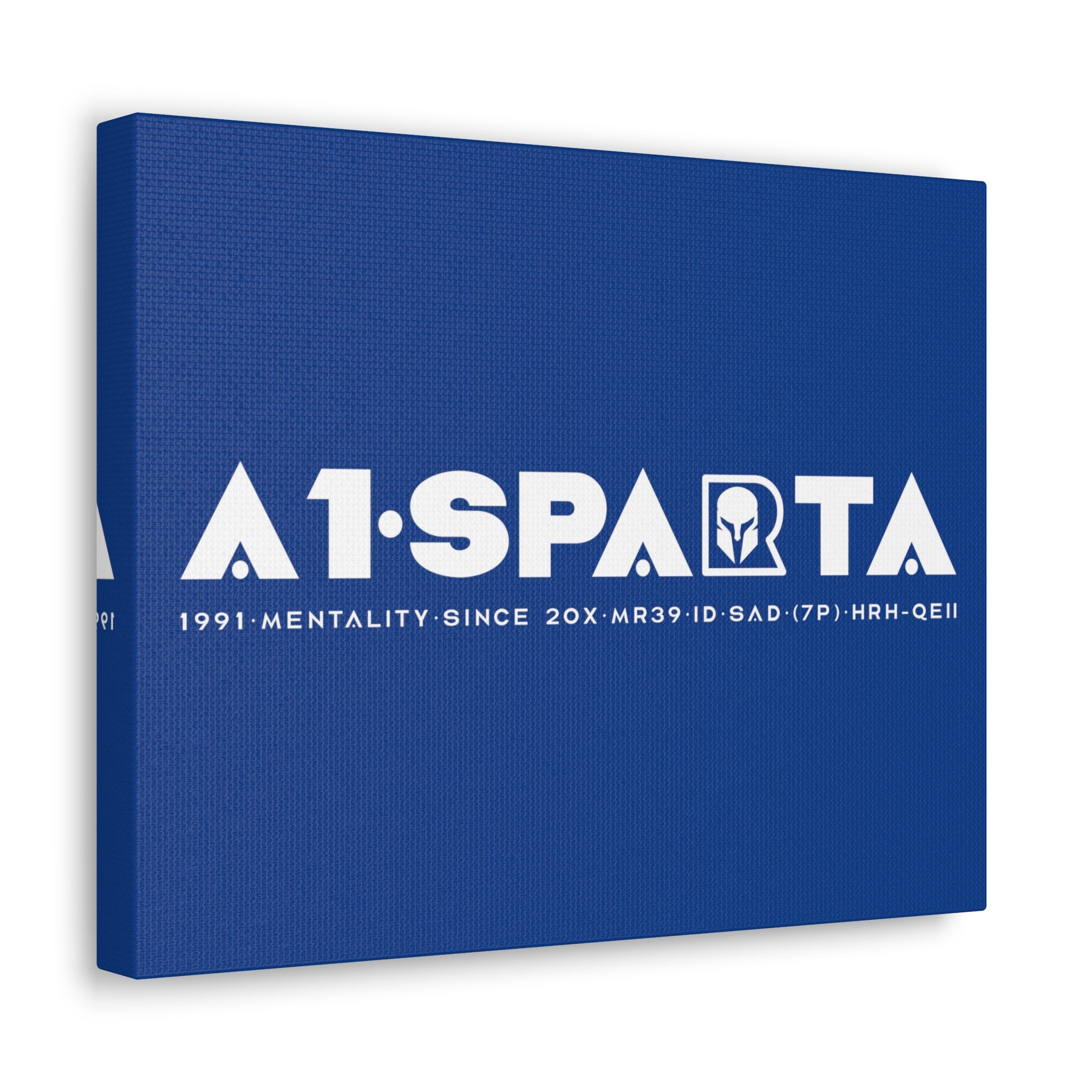 Canvas Gallery Wraps (A1•SPARTA RANGE)