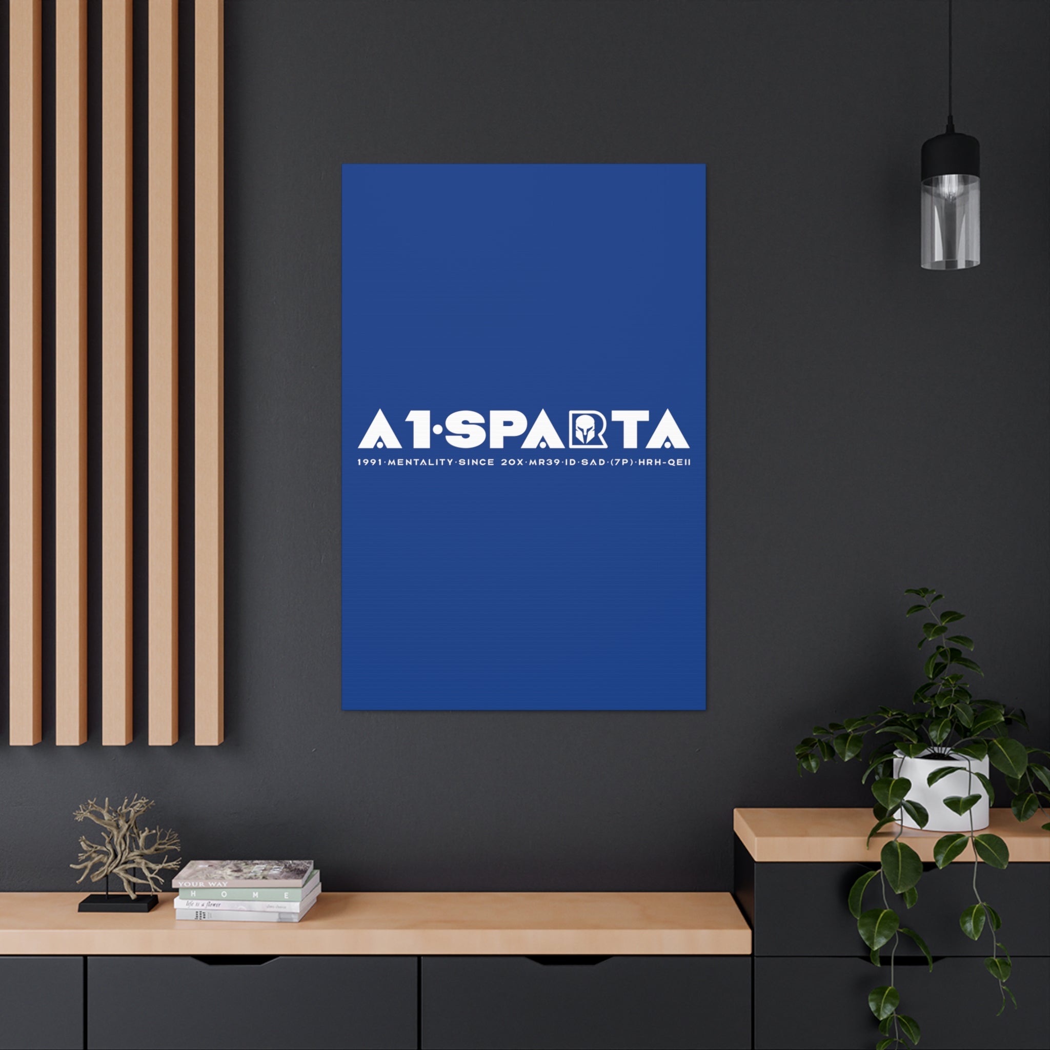 Canvas Gallery Wraps (A1•SPARTA RANGE)
