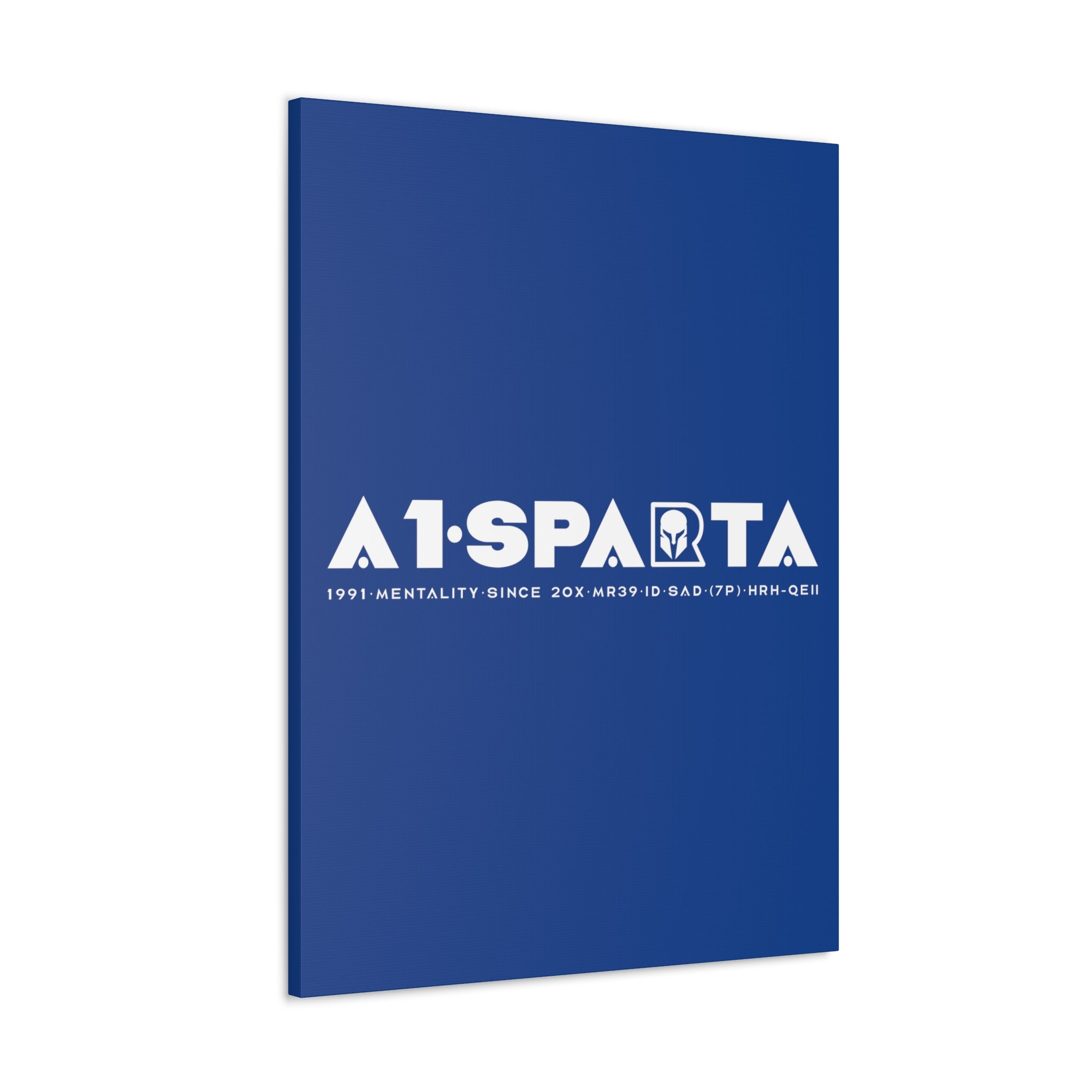 Canvas Gallery Wraps (A1•SPARTA RANGE)