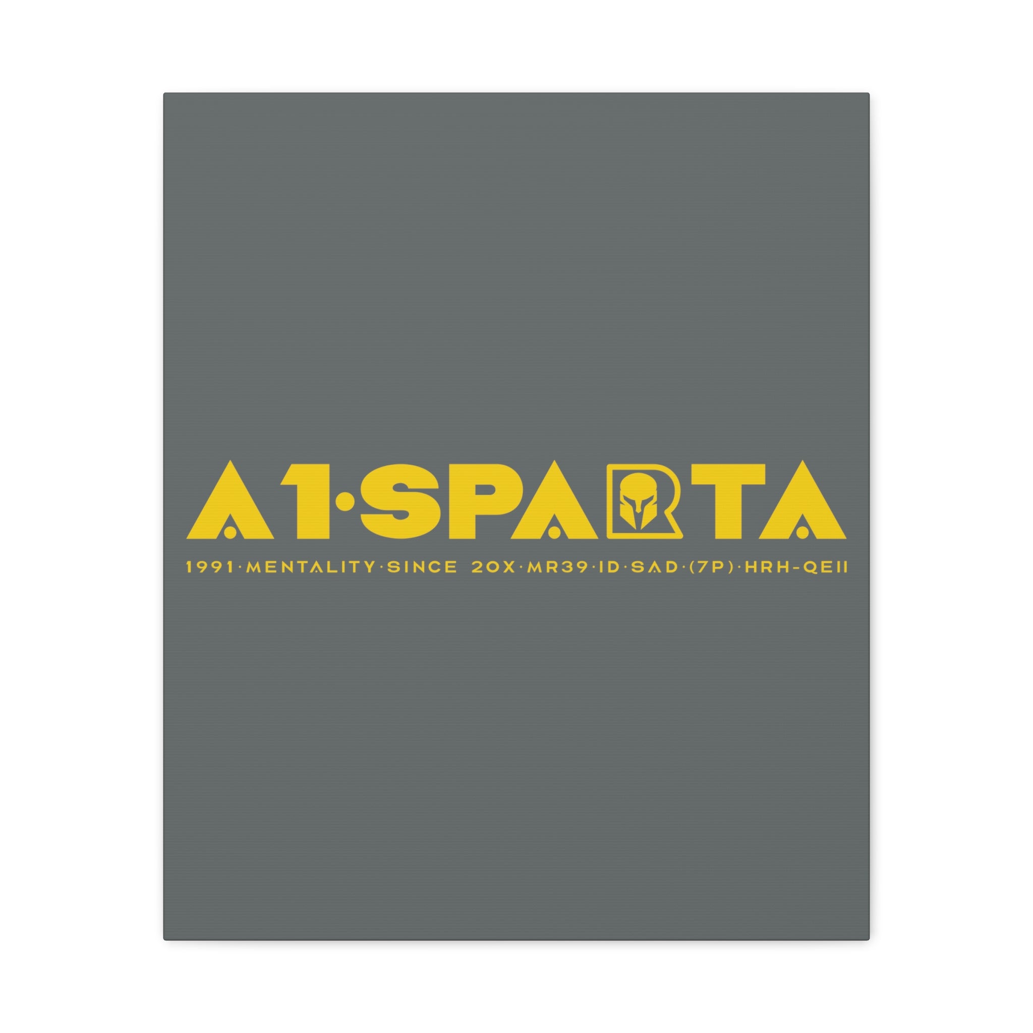 Canvas Gallery Wraps (A1•SPARTA RANGE)