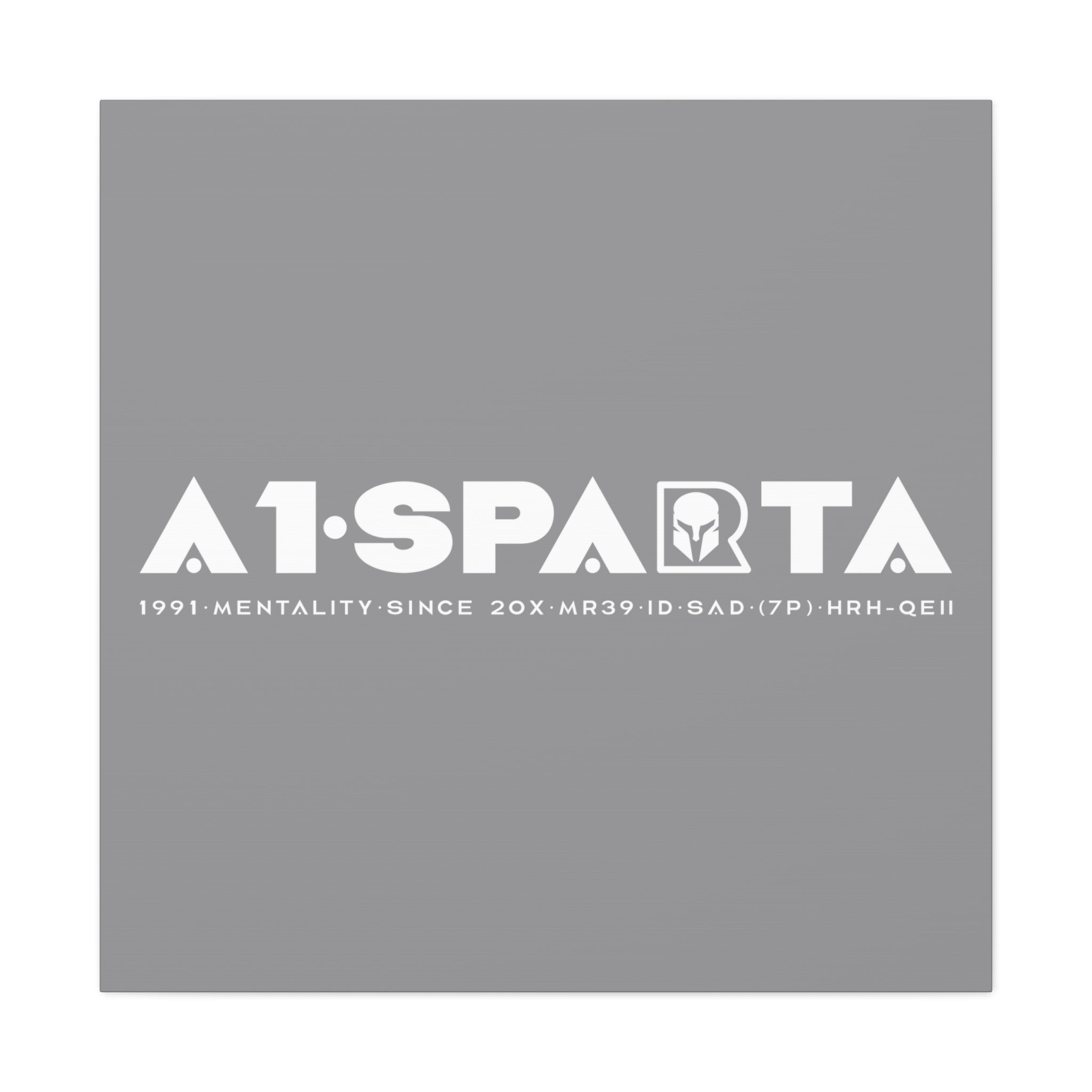 Canvas Gallery Wraps (A1•SPARTA RANGE)