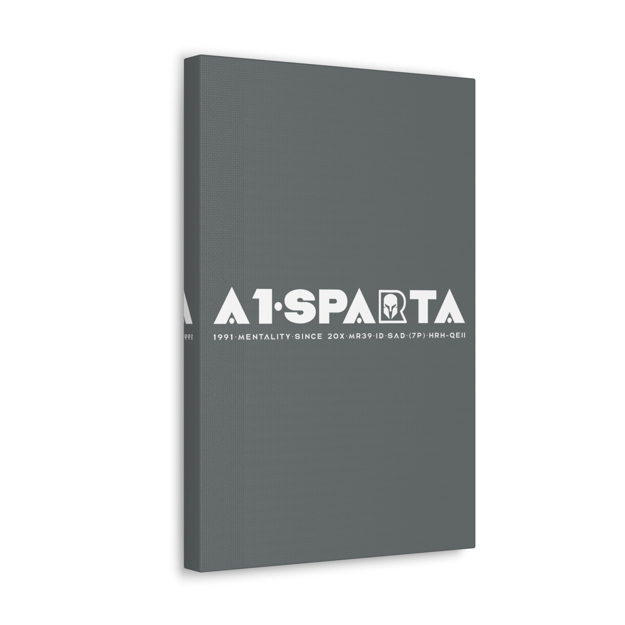 Canvas Gallery Wraps (A1•SPARTA RANGE)