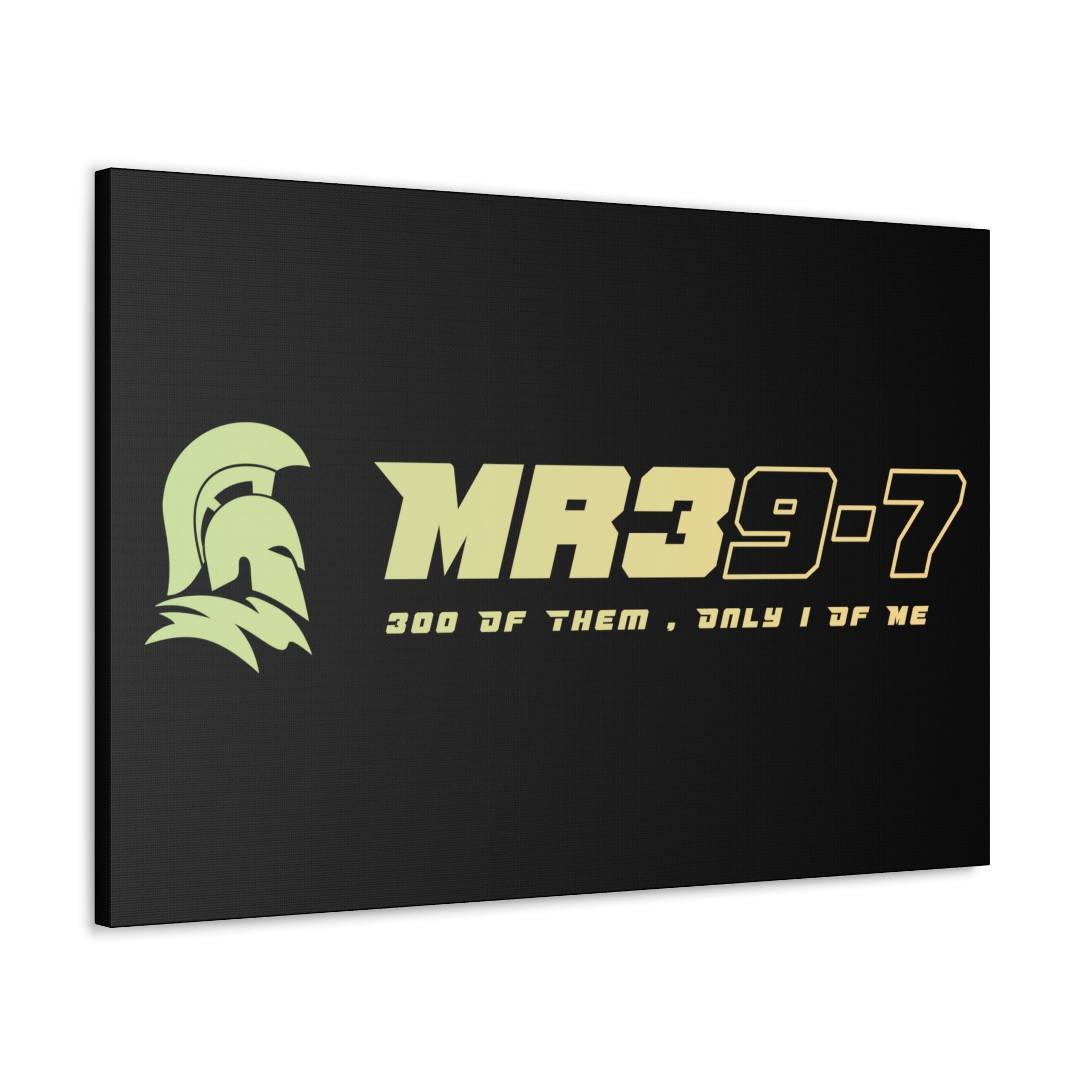 Canvas Gallery Wraps (A1•SPARTA RANGE)