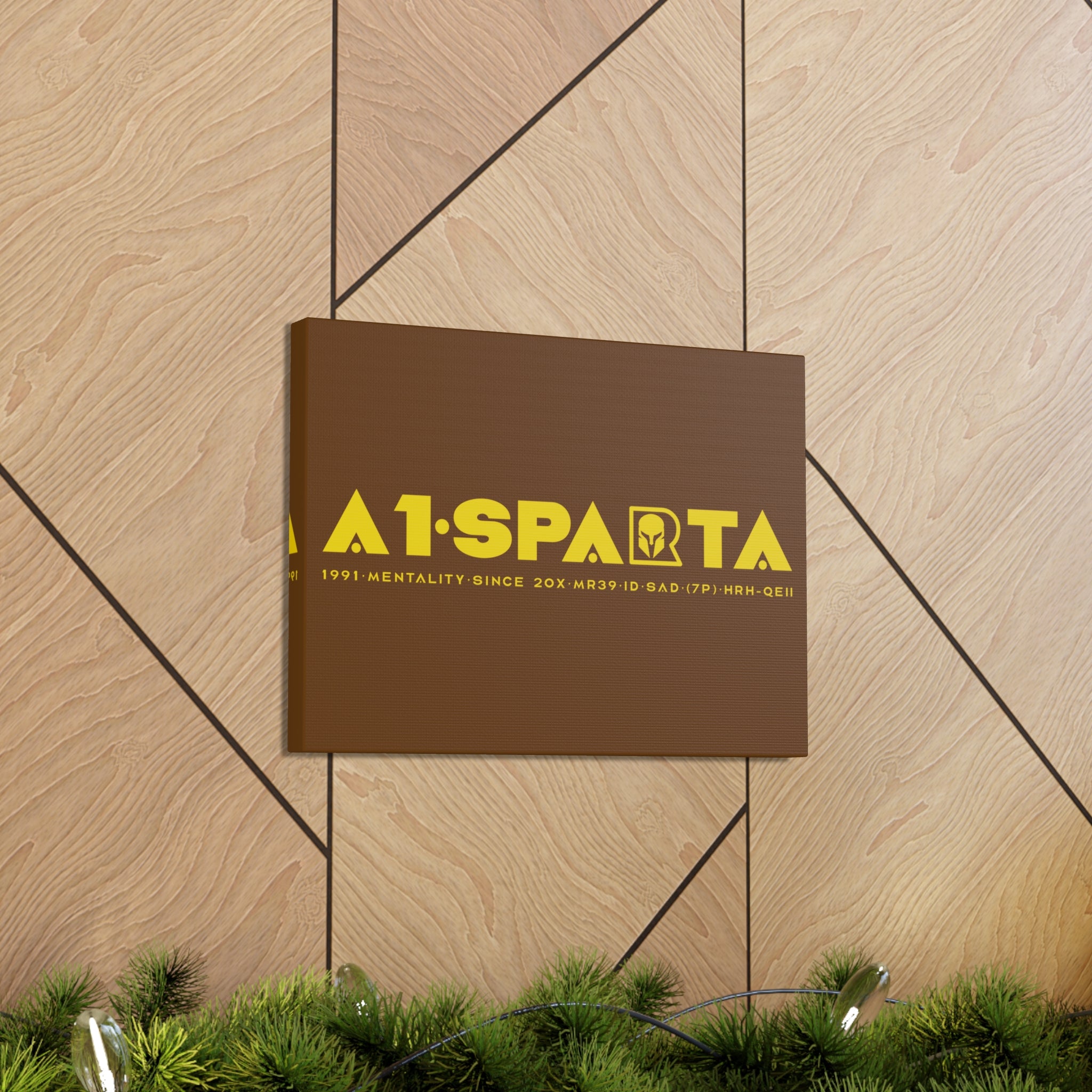 Canvas Gallery Wraps (A1•SPARTA RANGE)