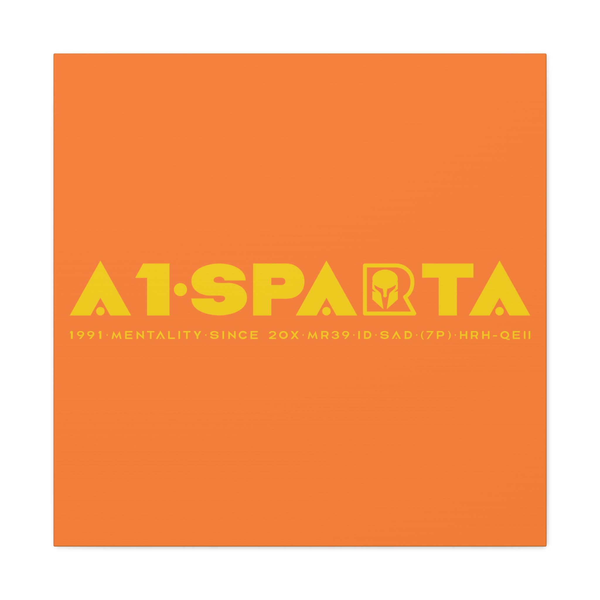 Canvas Gallery Wraps (A1•SPARTA RANGE)