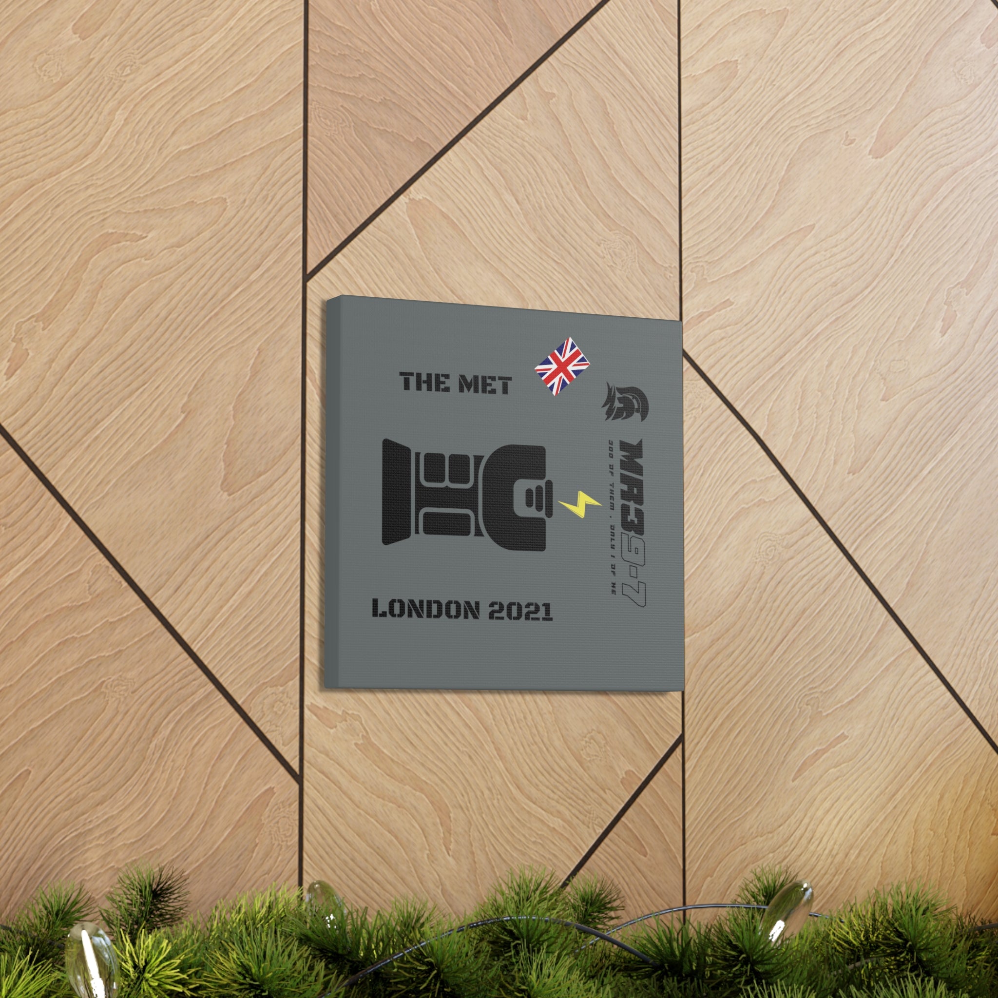 Canvas Gallery Wraps MR 39 Tasered by The MET 2021