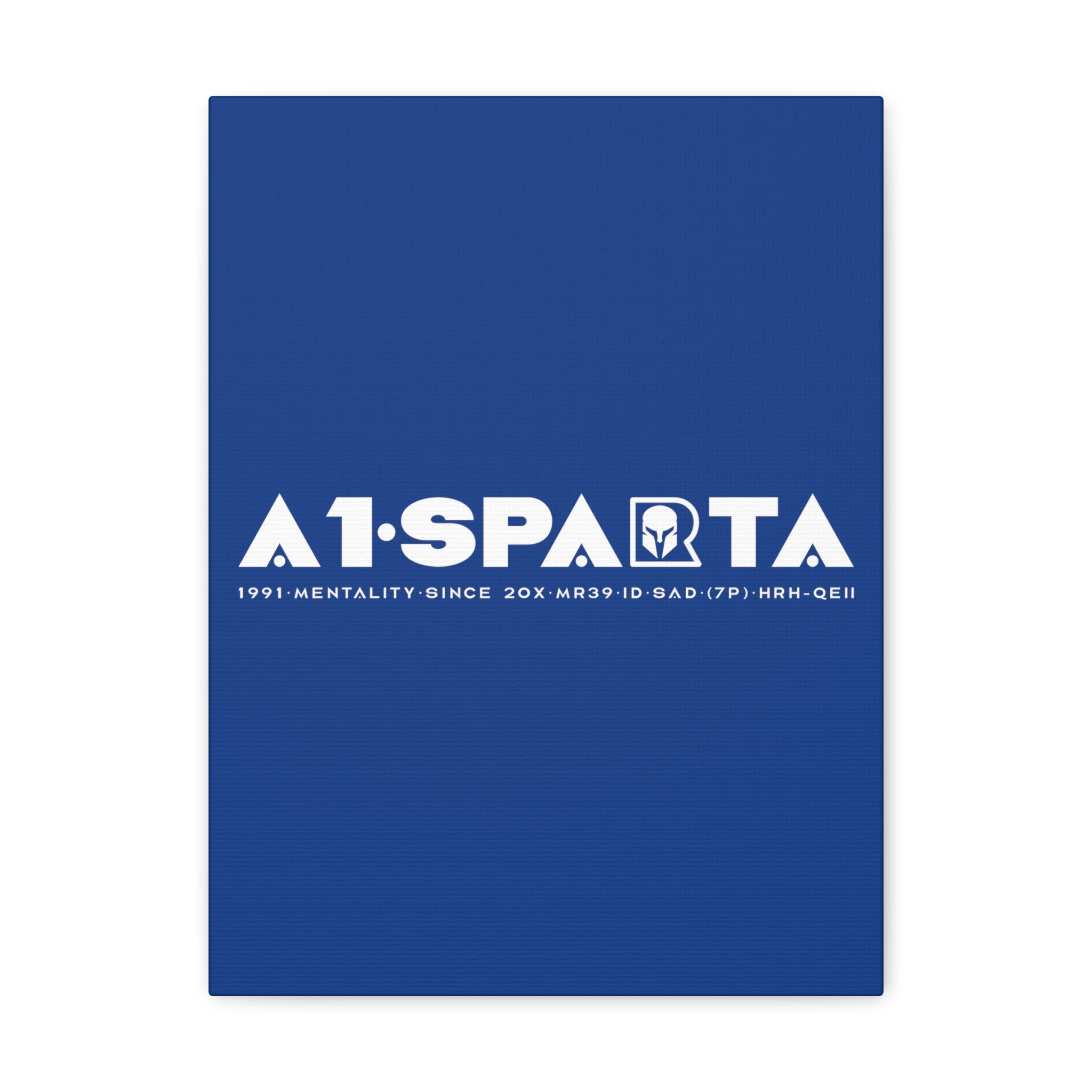 Canvas Gallery Wraps (A1•SPARTA RANGE)