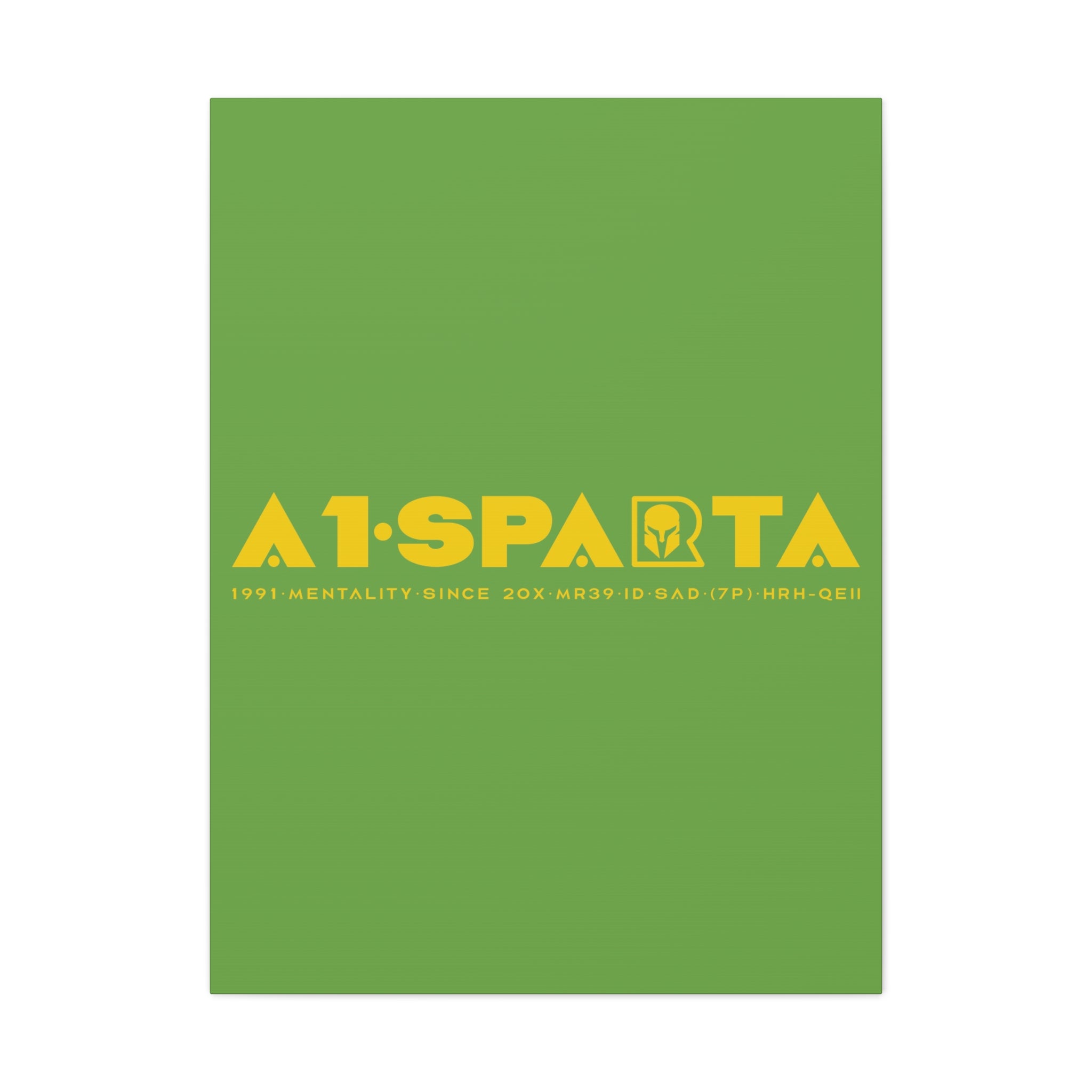 Canvas Gallery Wraps (A1•SPARTA RANGE)