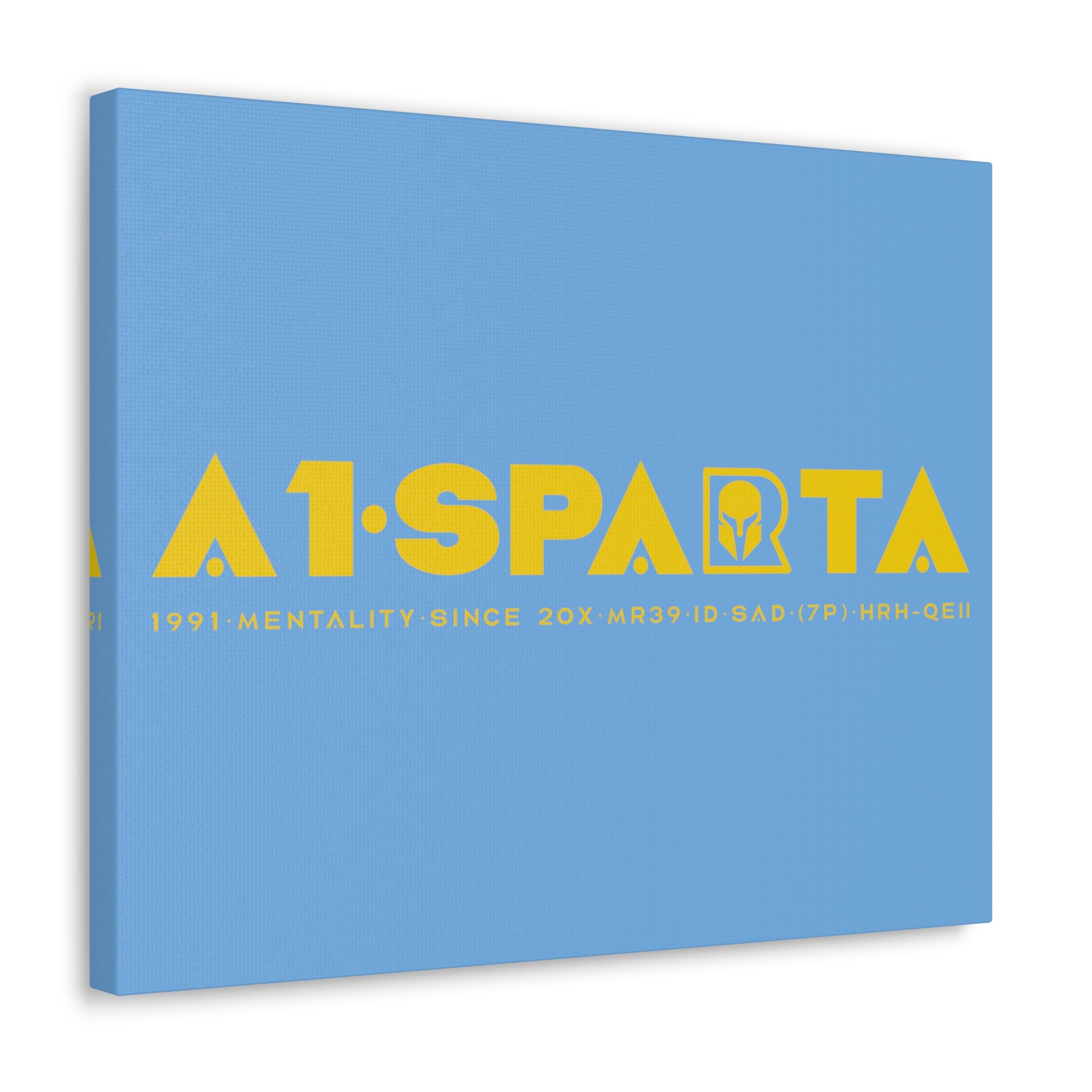 Canvas Gallery Wraps (A1•SPARTA RANGE)
