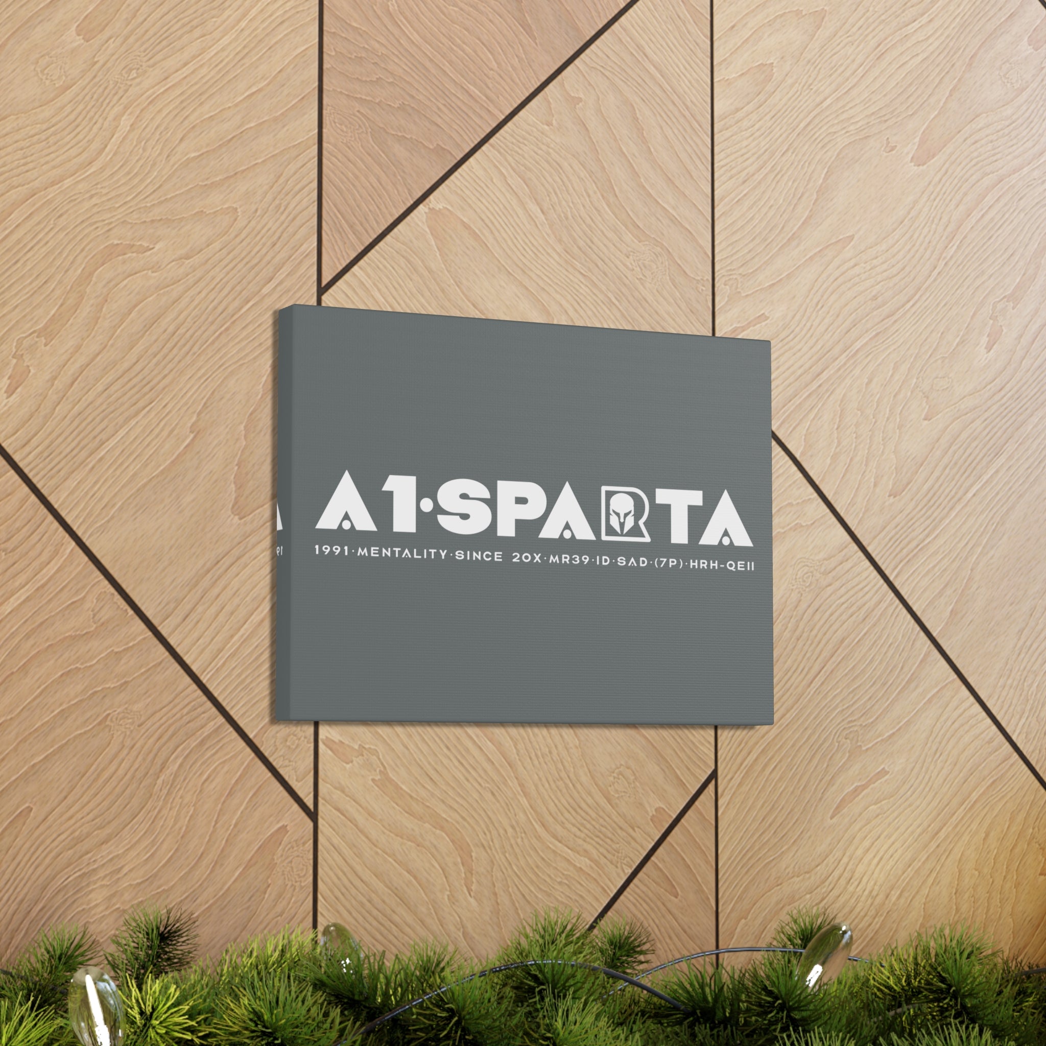 Canvas Gallery Wraps (A1•SPARTA RANGE)