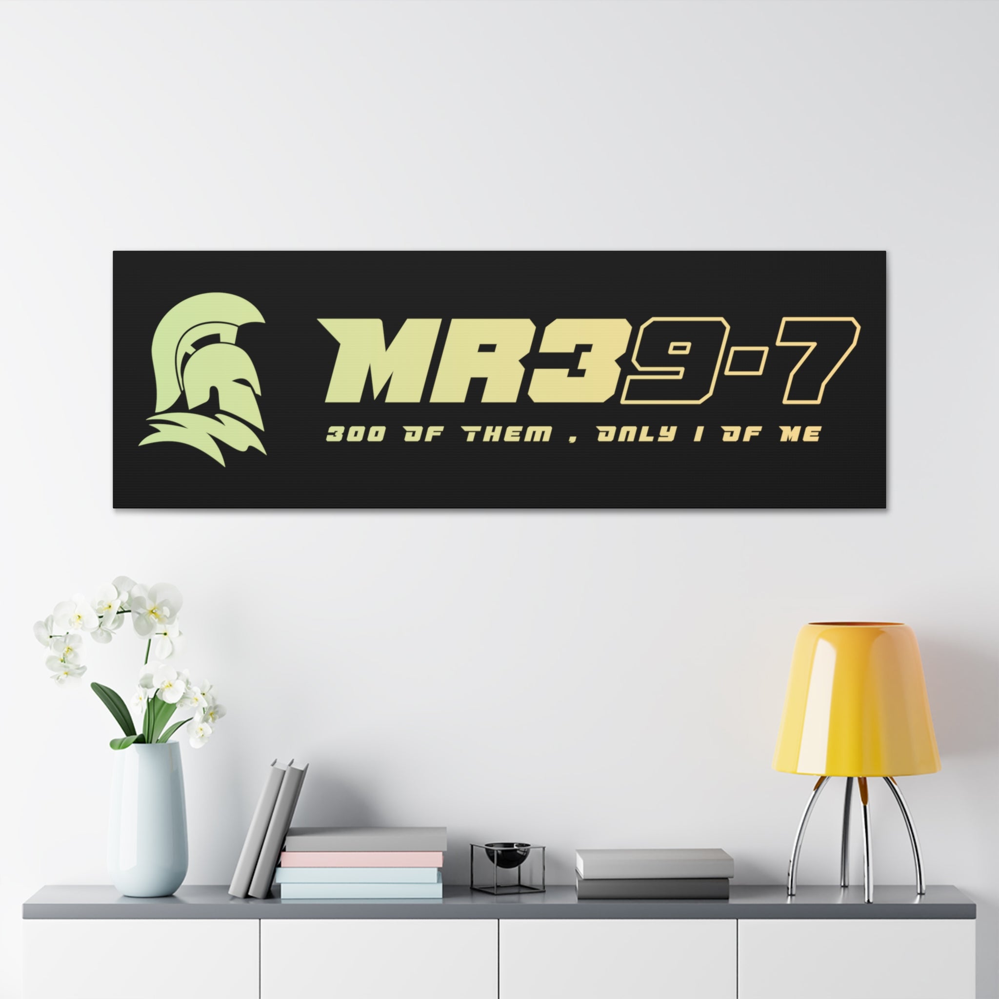 Canvas Gallery Wraps (A1•SPARTA RANGE)