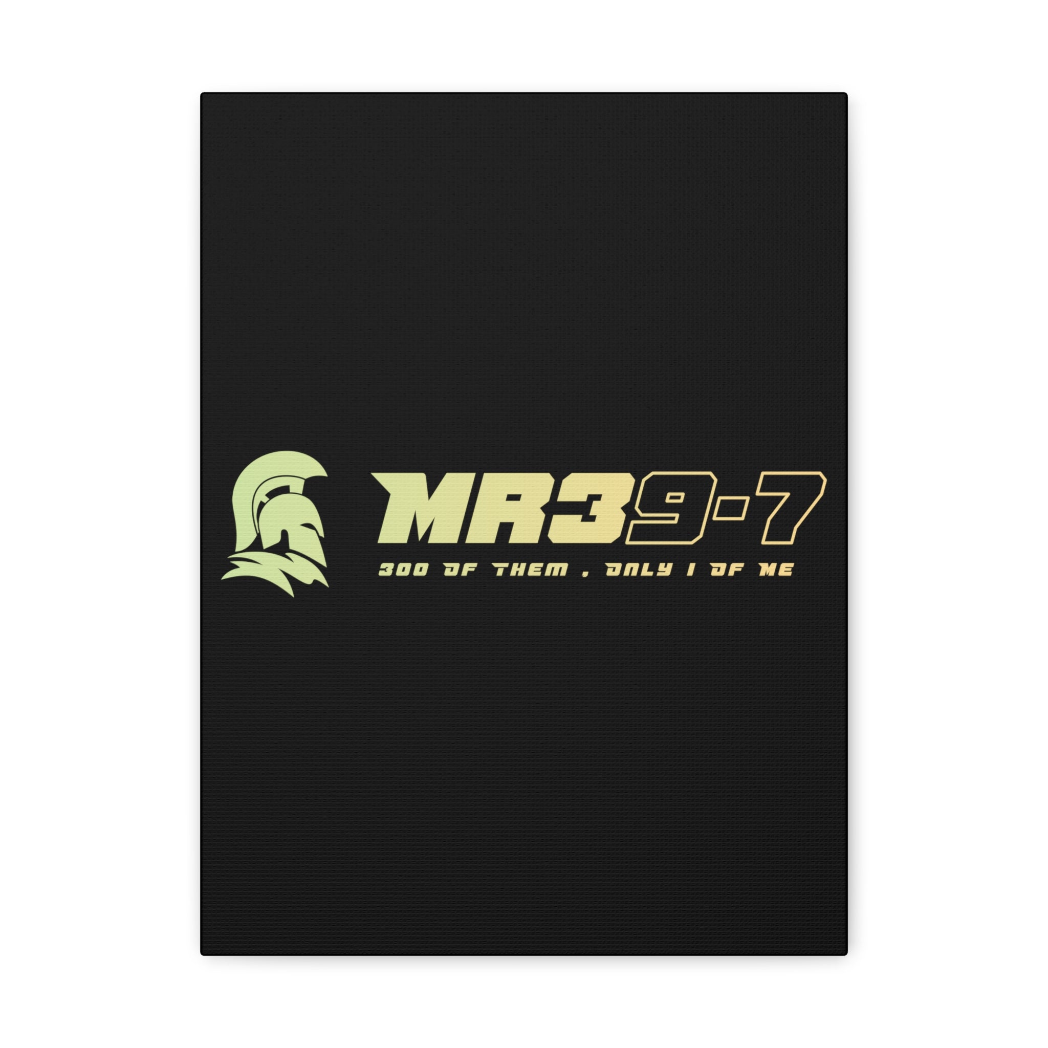 Canvas Gallery Wraps (A1•SPARTA RANGE)