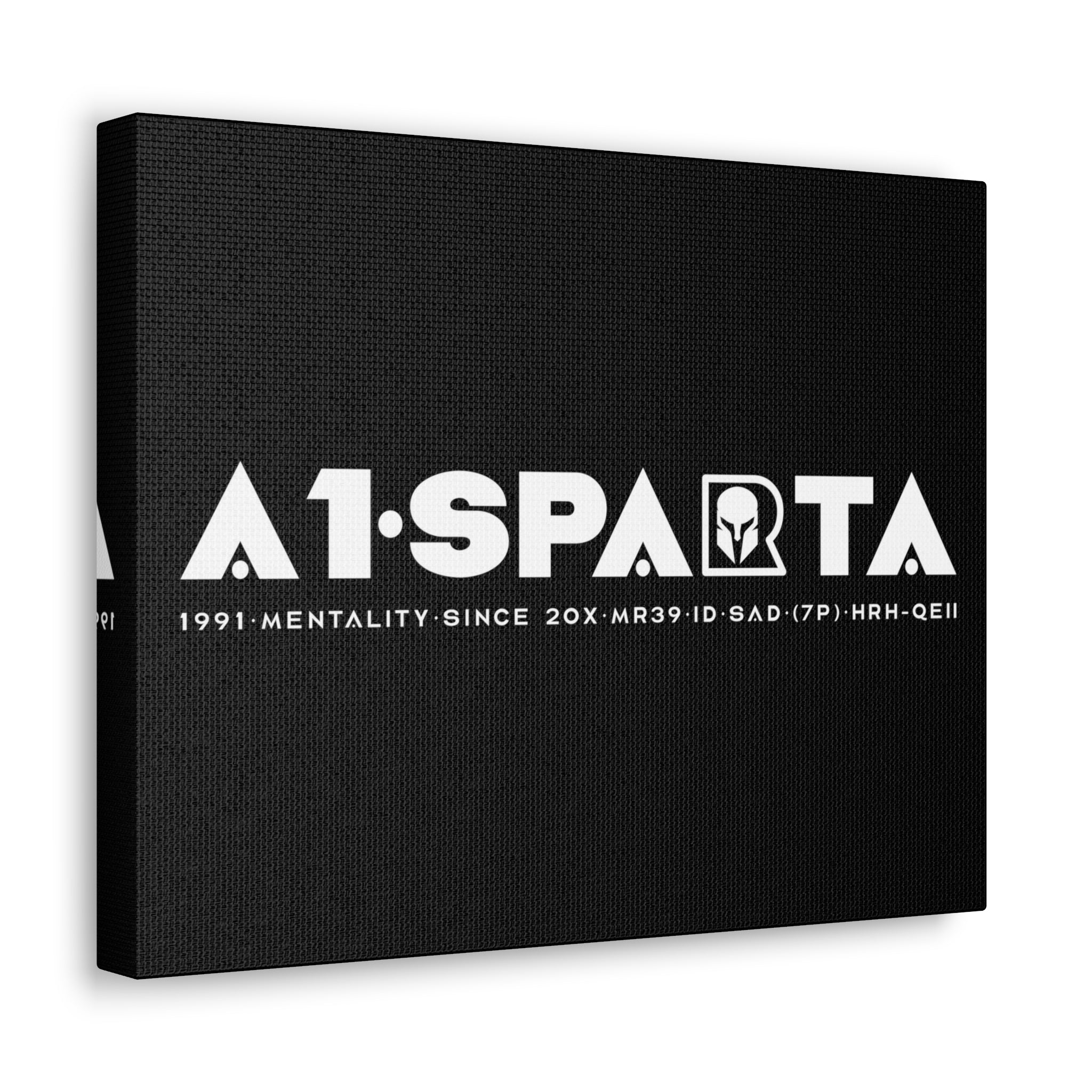 Canvas Gallery Wraps (A1•SPARTA RANGE)