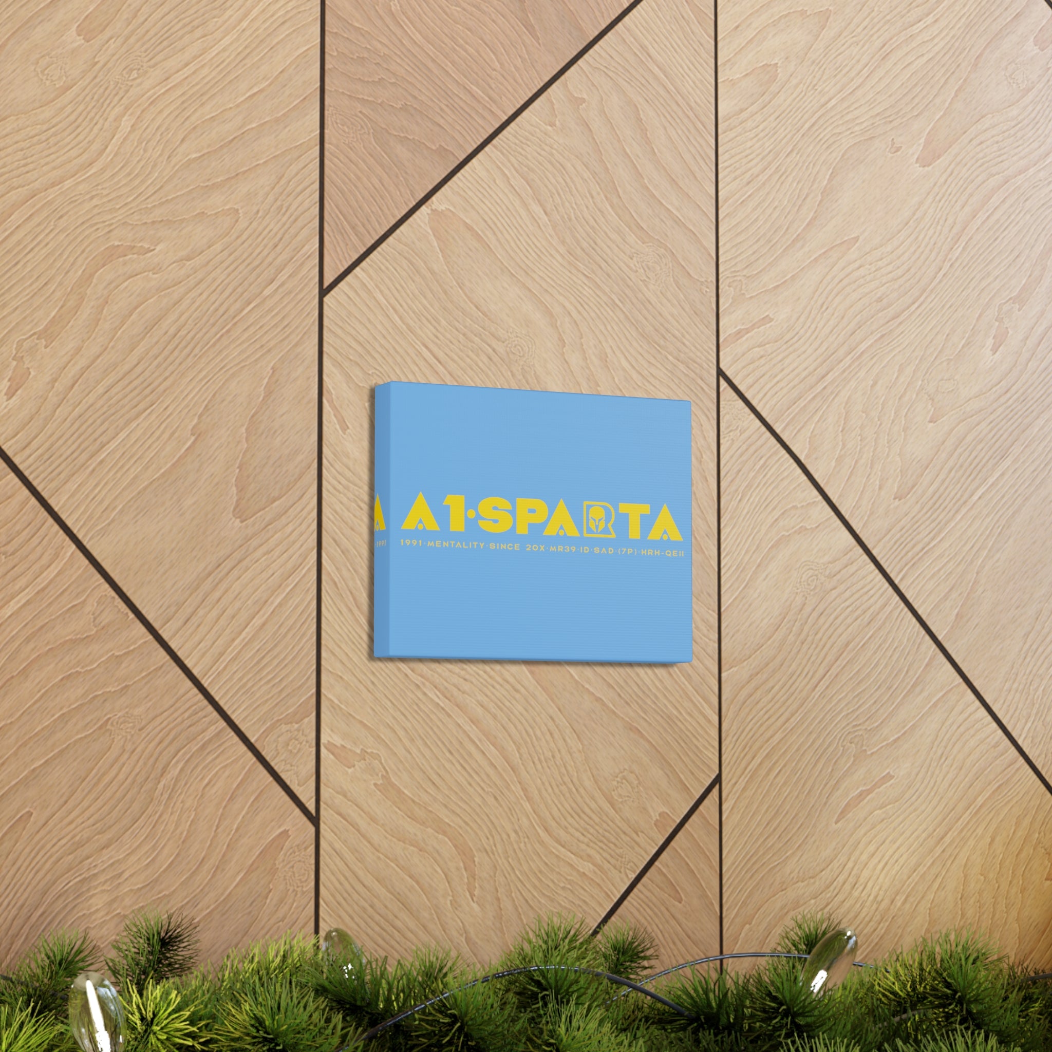 Canvas Gallery Wraps (A1•SPARTA RANGE)