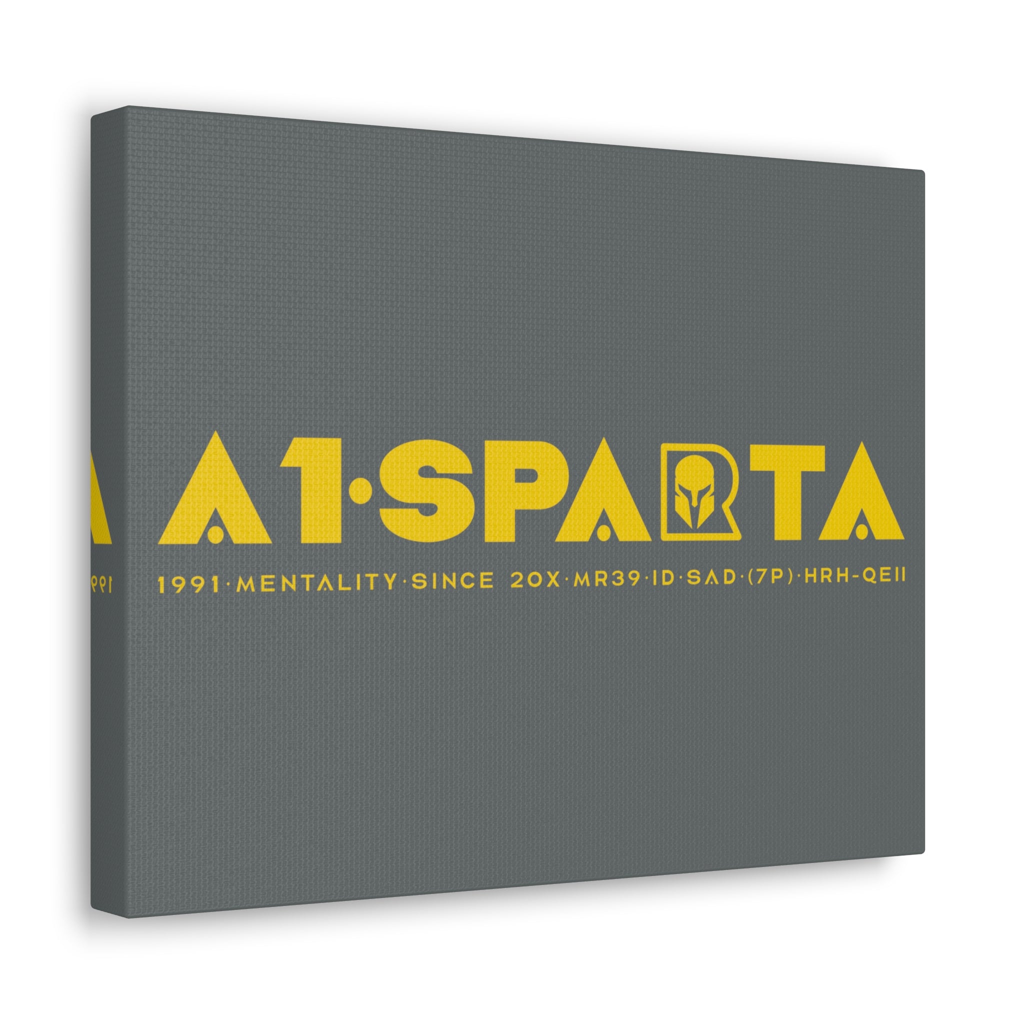 Canvas Gallery Wraps (A1•SPARTA RANGE)