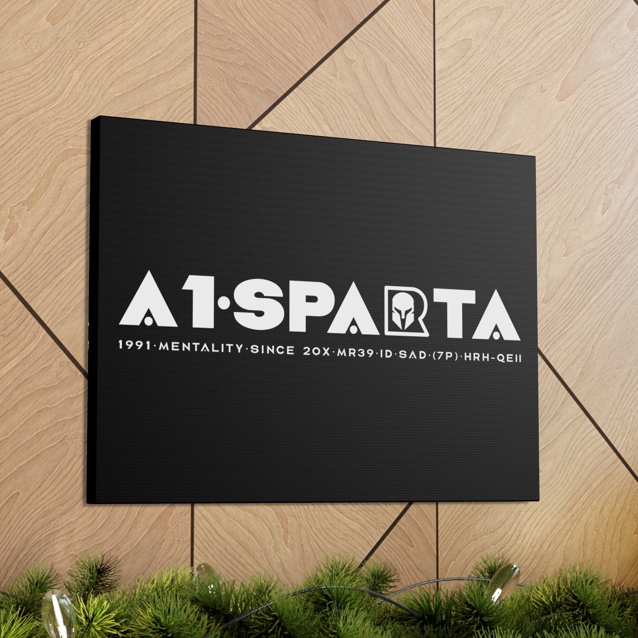 Canvas Gallery Wraps (A1•SPARTA RANGE)