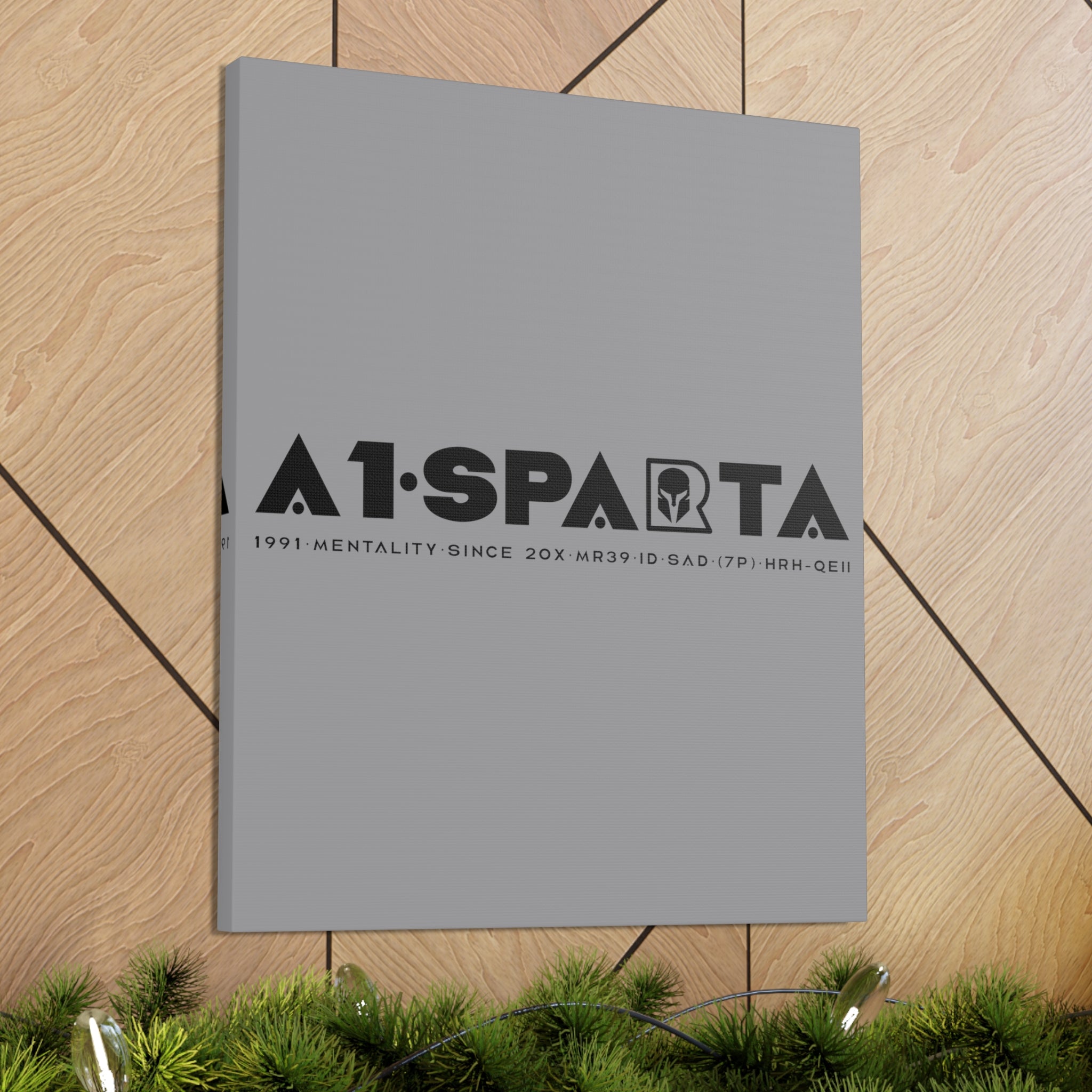 Canvas Gallery Wraps (A1•SPARTA RANGE)