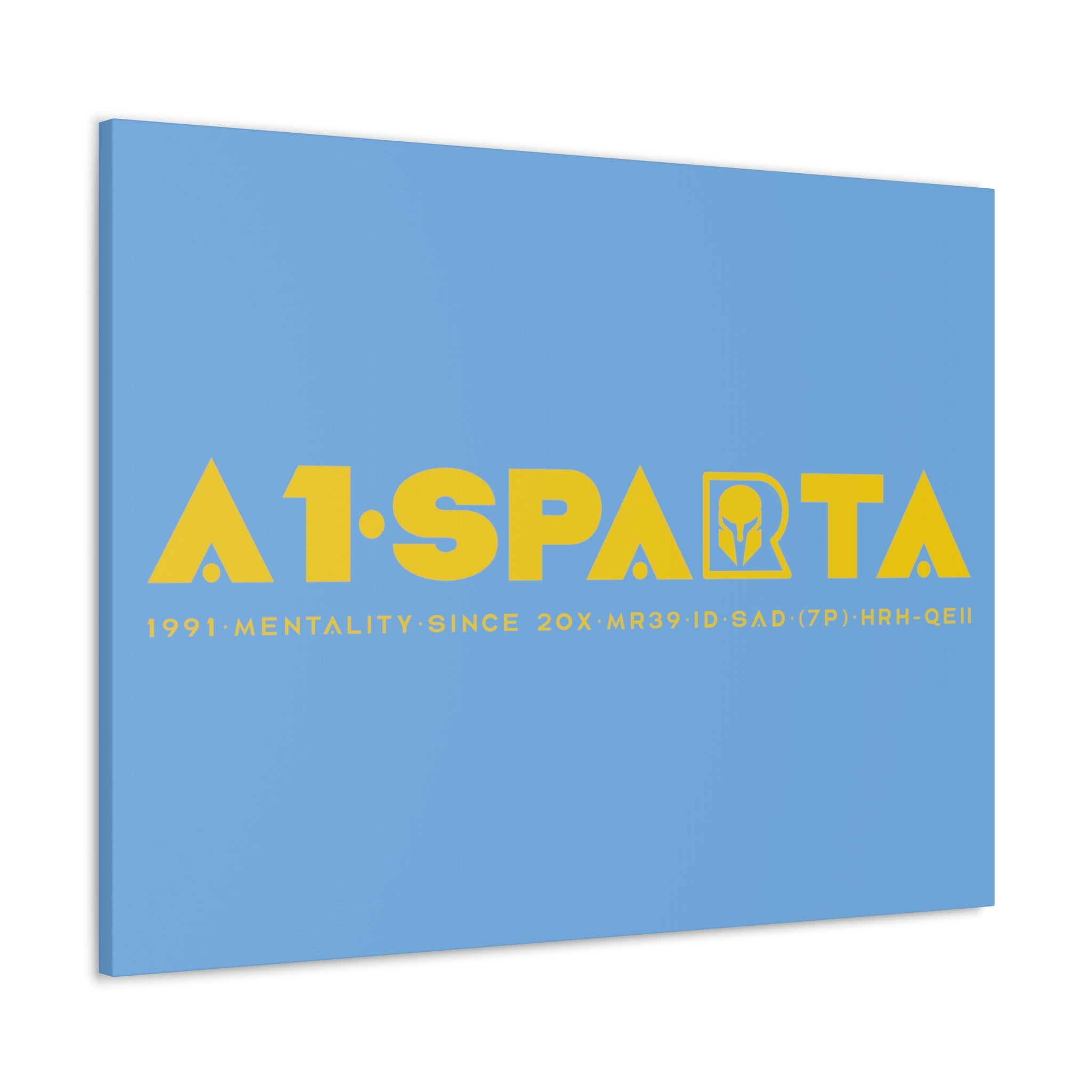 Canvas Gallery Wraps (A1•SPARTA RANGE)