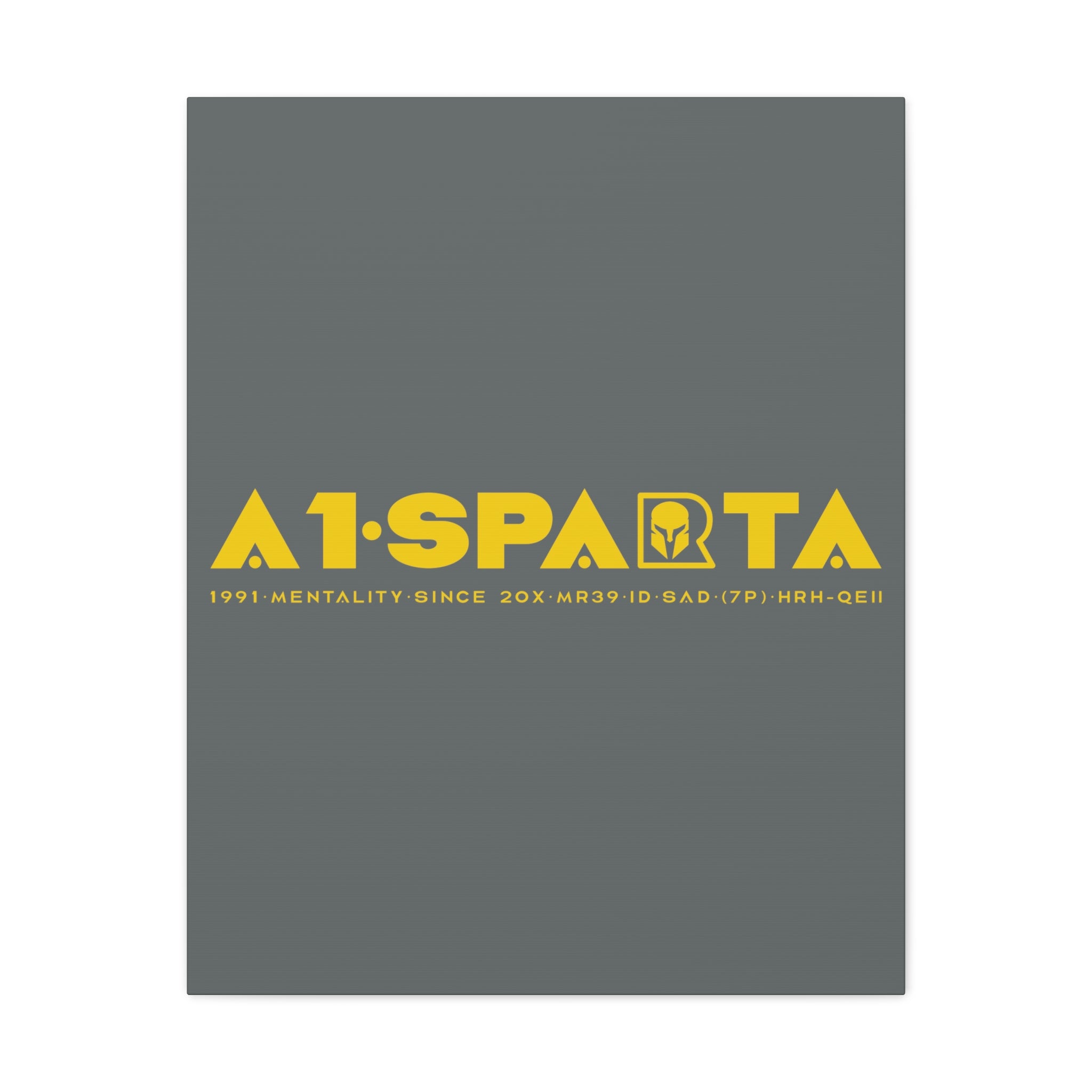 Canvas Gallery Wraps (A1•SPARTA RANGE)