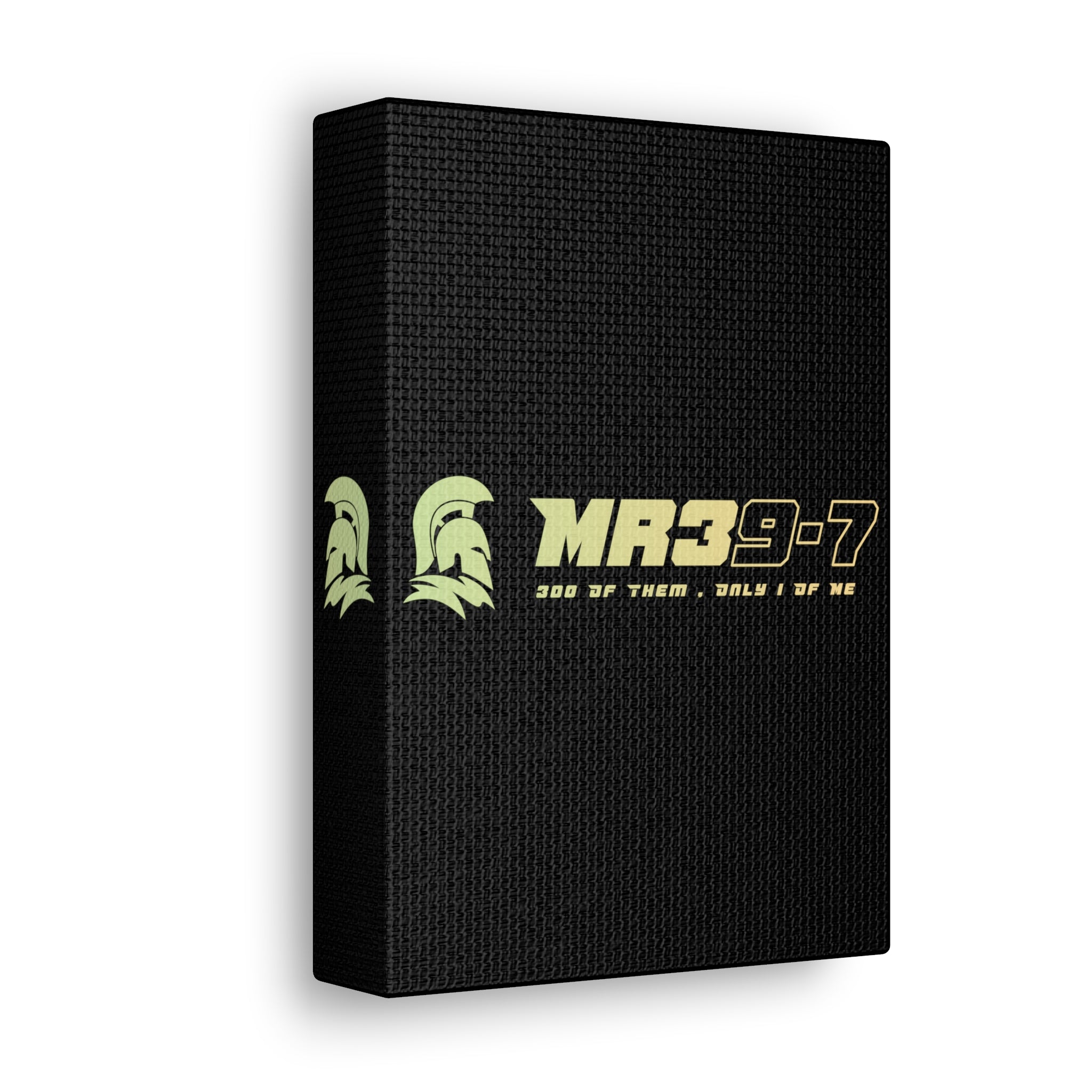 Canvas Gallery Wraps (A1•SPARTA RANGE)