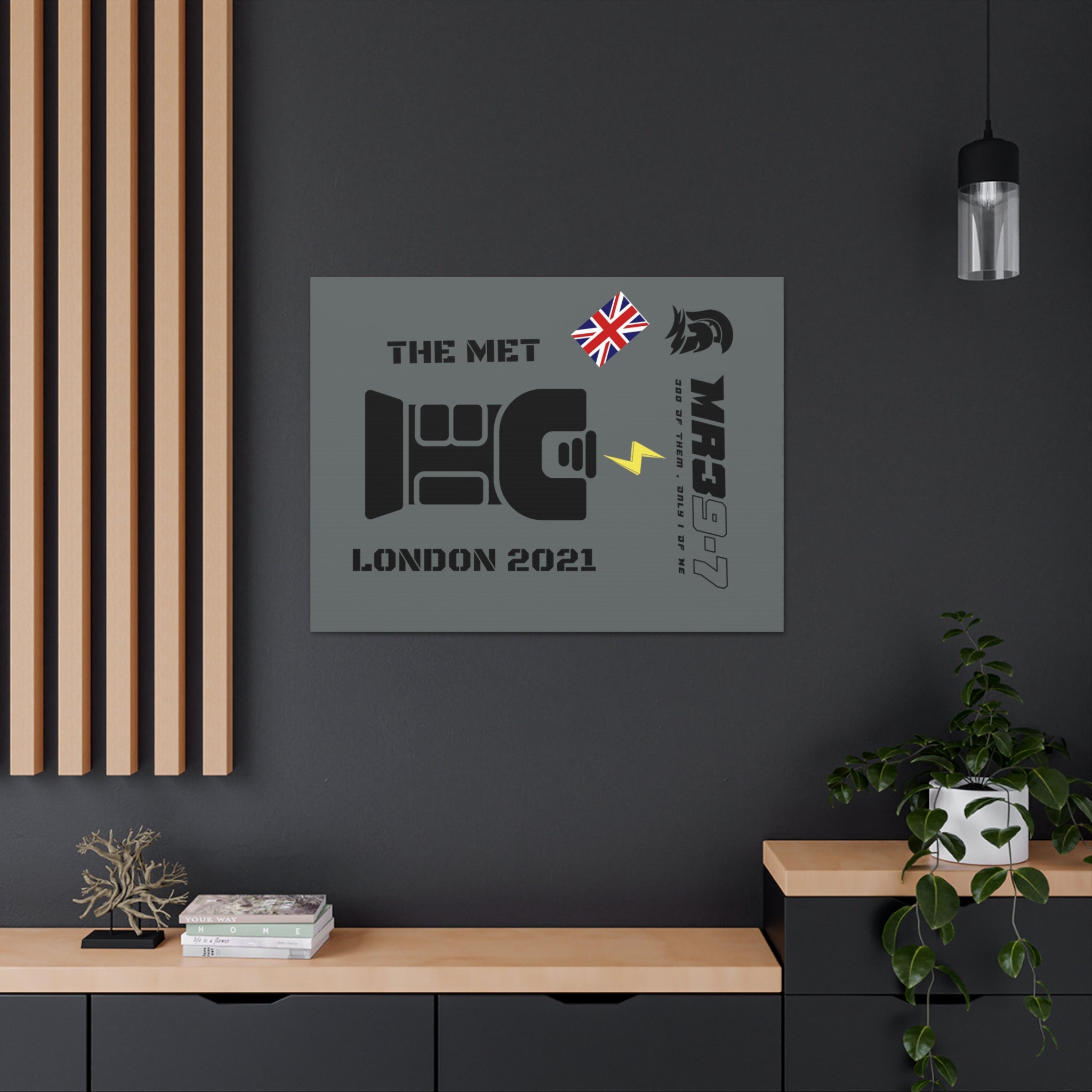 Canvas Gallery Wraps MR 39 Tasered by The MET 2021