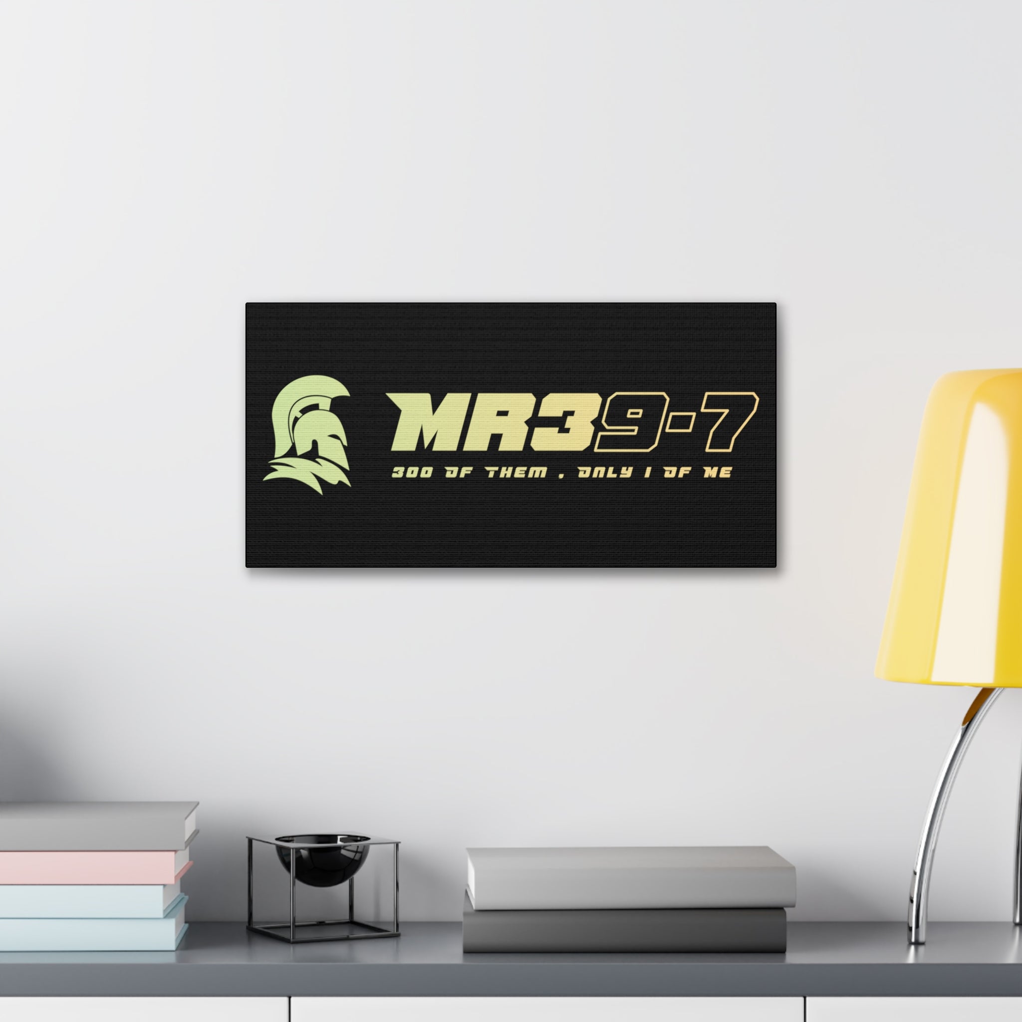 Canvas Gallery Wraps (A1•SPARTA RANGE)