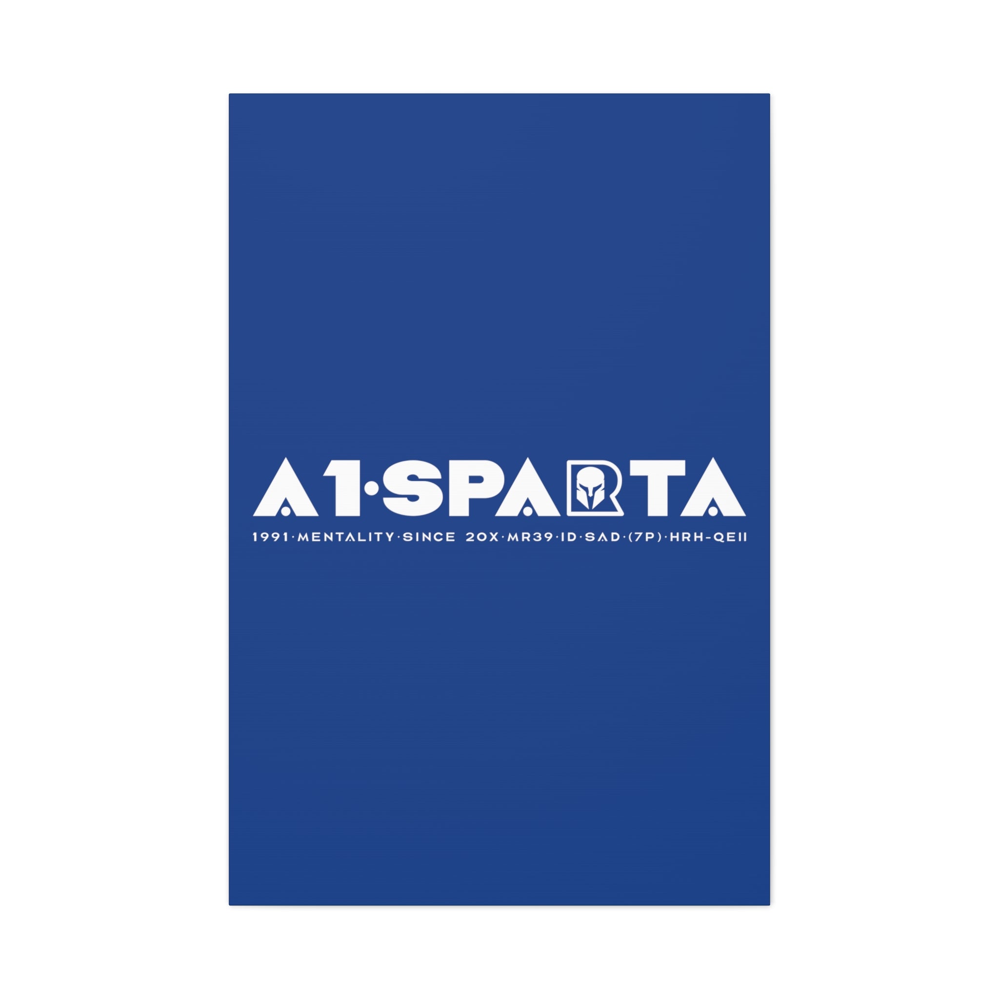 Canvas Gallery Wraps (A1•SPARTA RANGE)