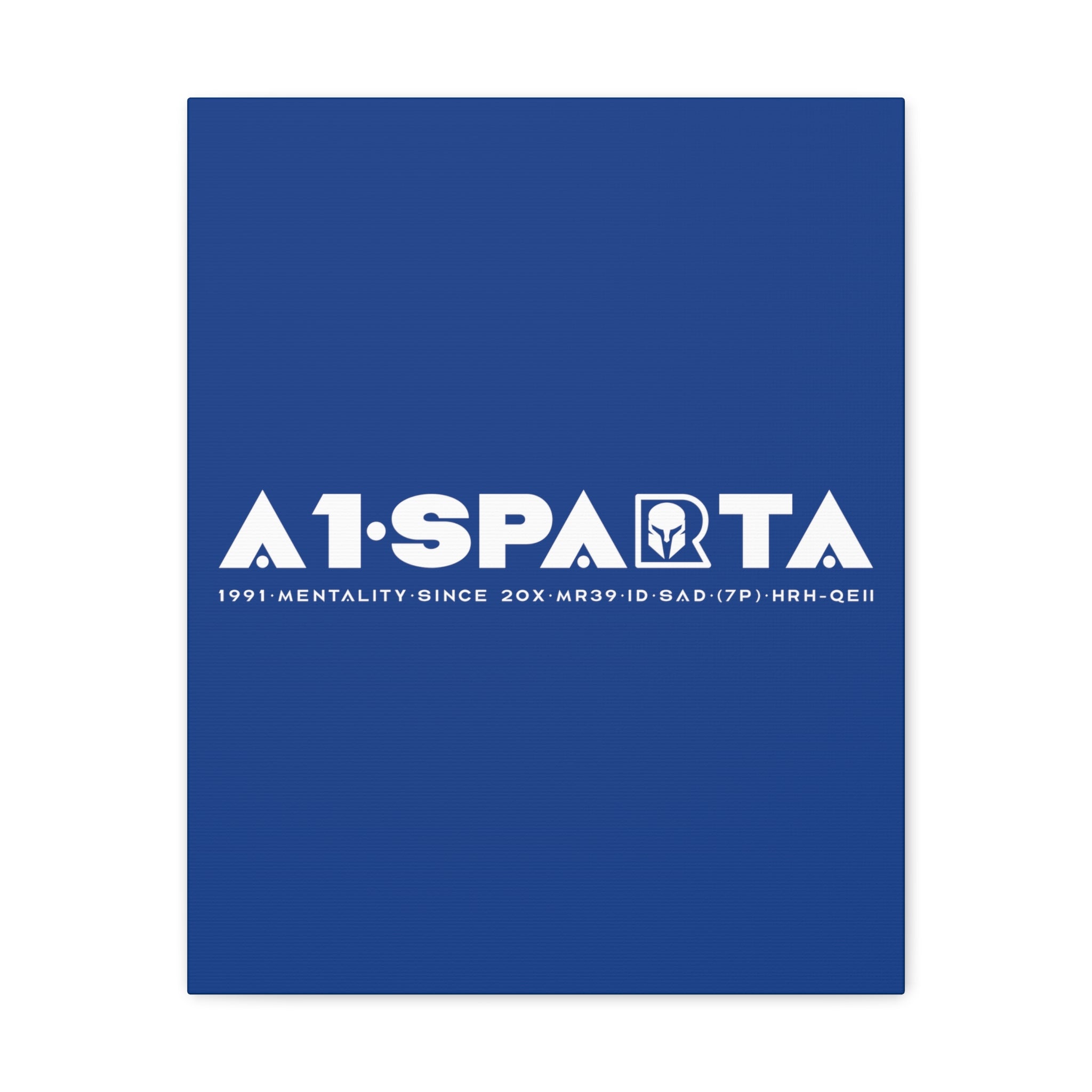 Canvas Gallery Wraps (A1•SPARTA RANGE)