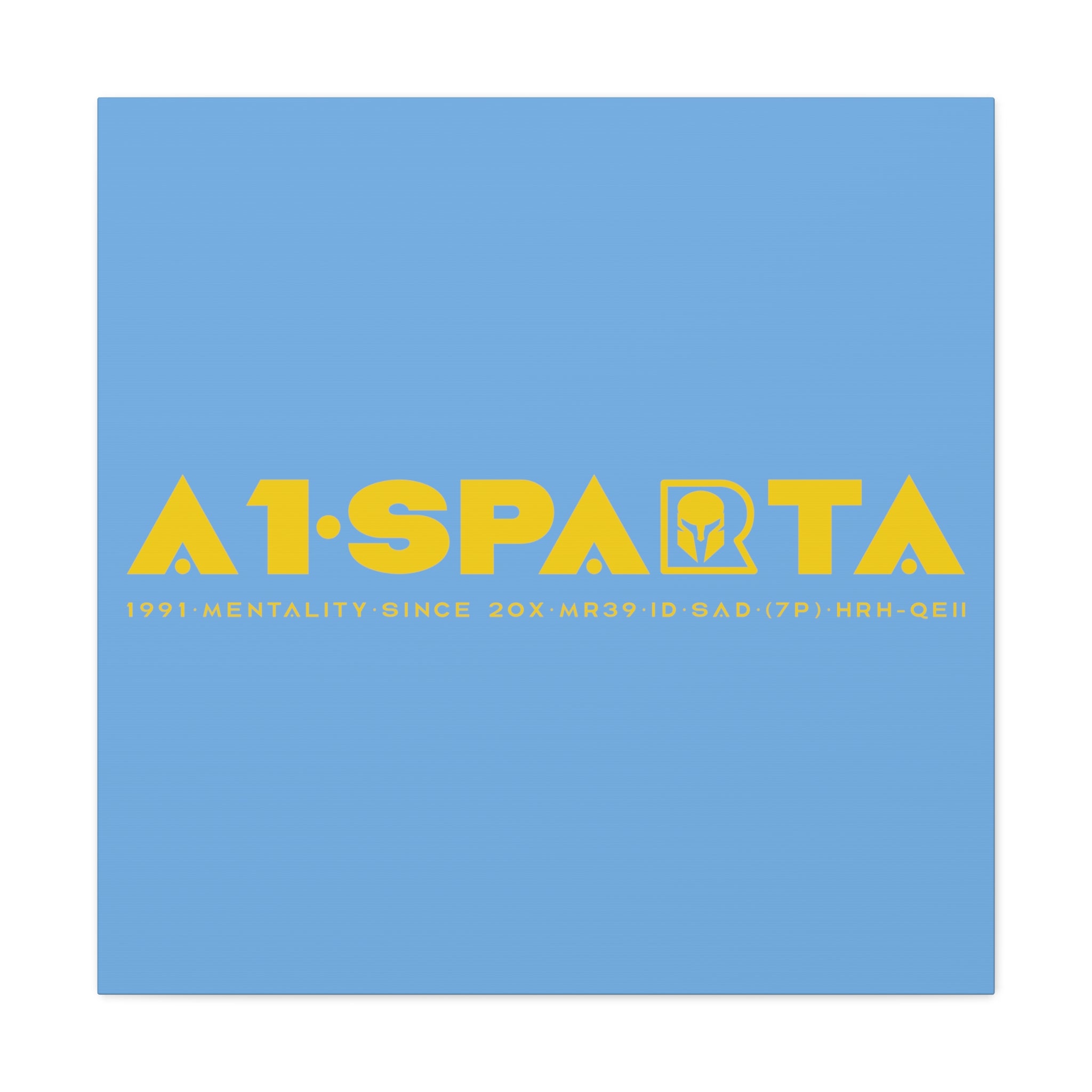 Canvas Gallery Wraps (A1•SPARTA RANGE)