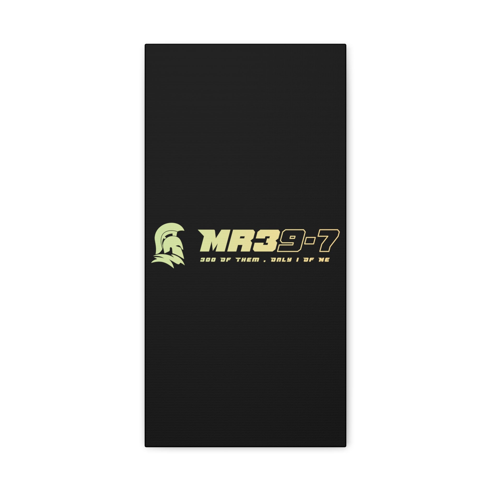 Canvas Gallery Wraps (A1•SPARTA RANGE)