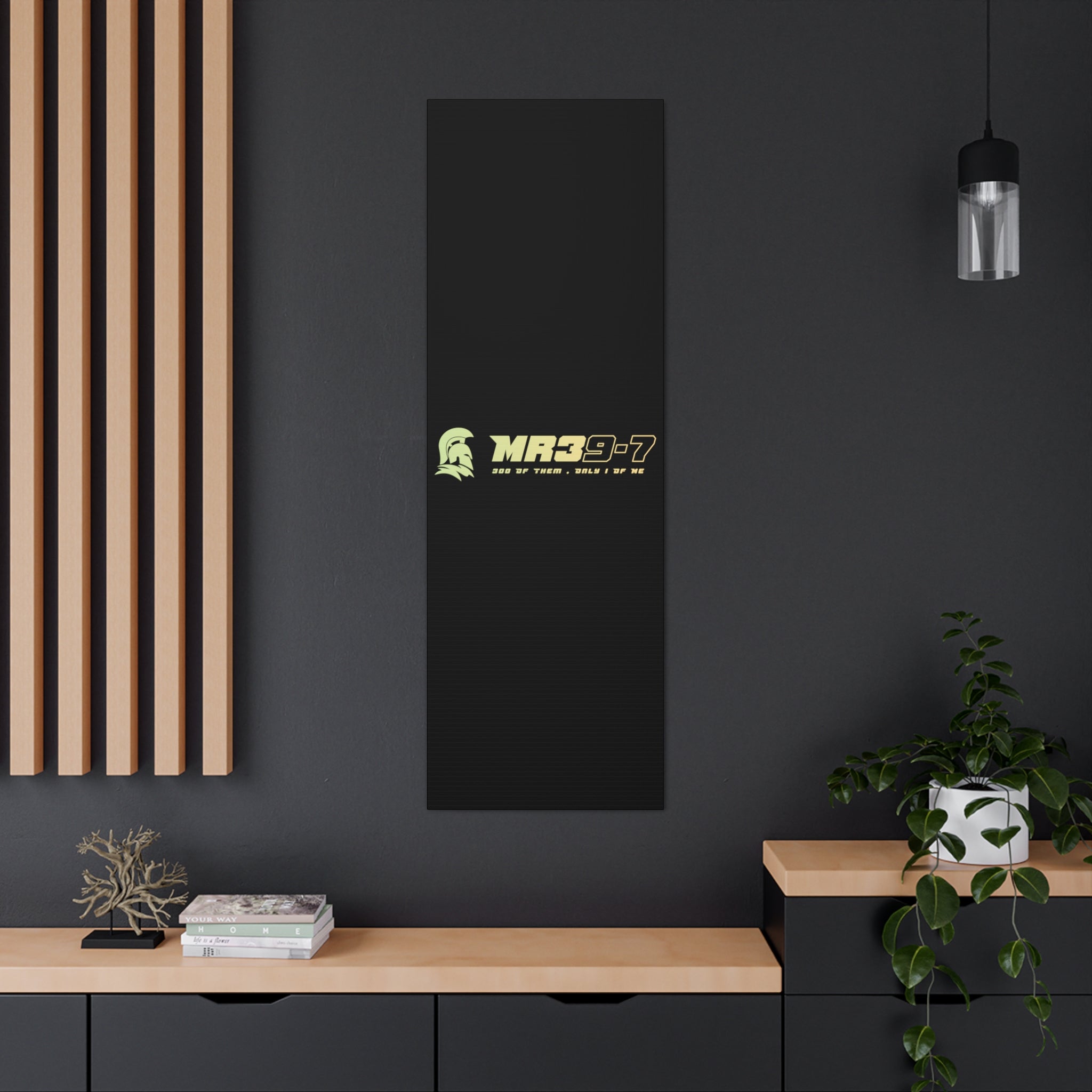 Canvas Gallery Wraps (A1•SPARTA RANGE)