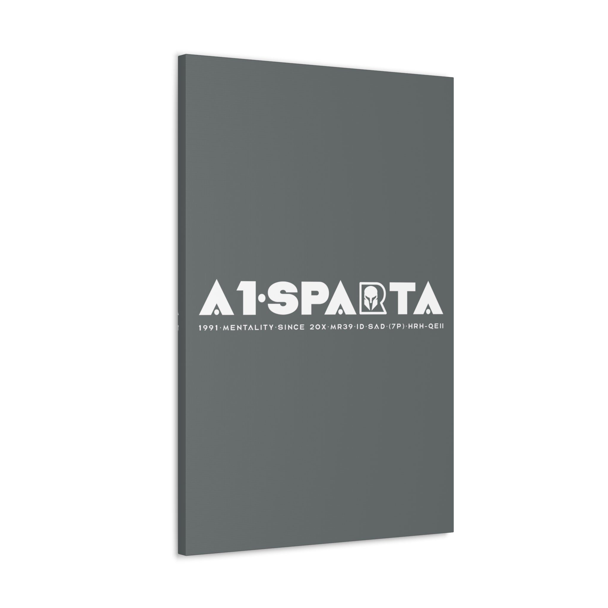 Canvas Gallery Wraps (A1•SPARTA RANGE)