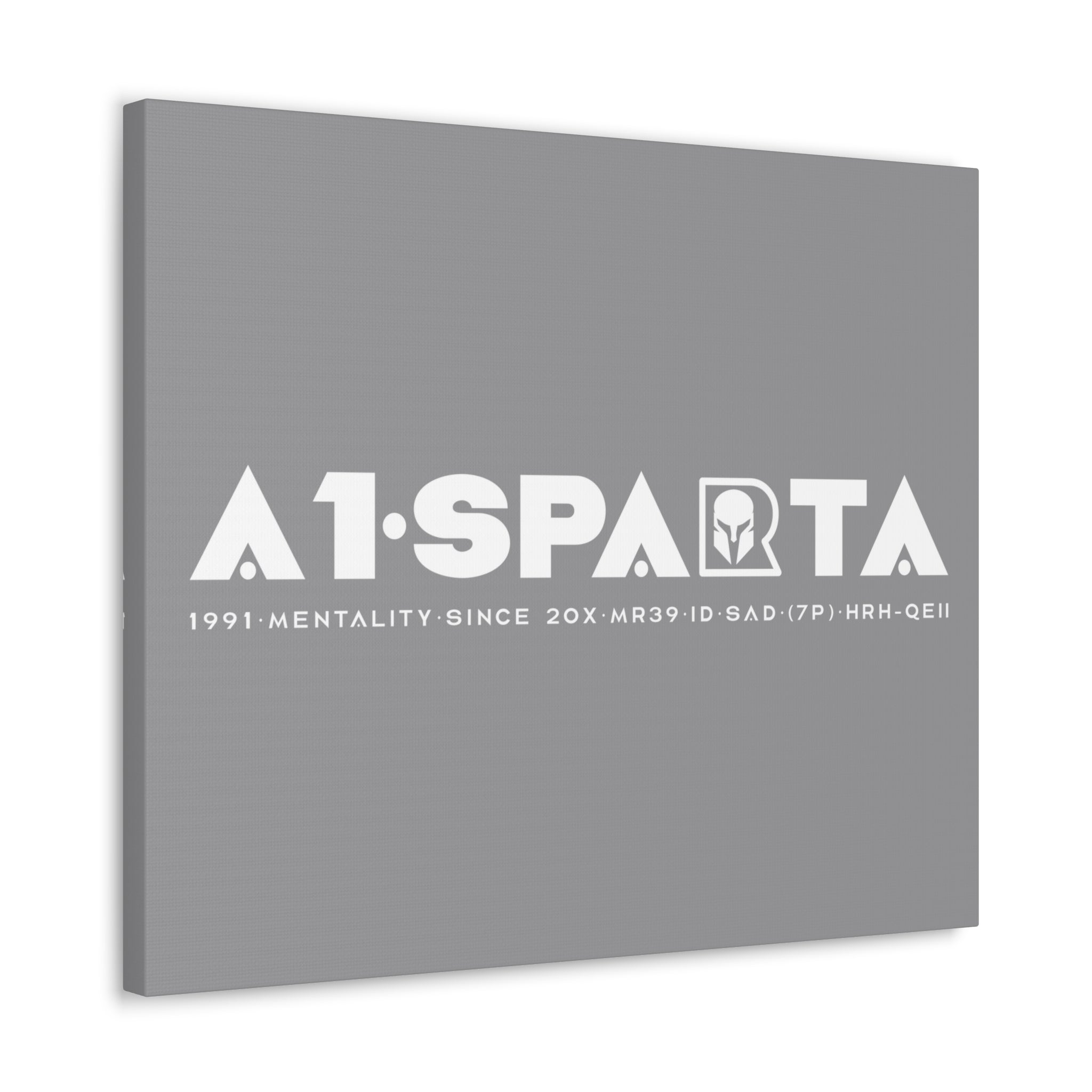 Canvas Gallery Wraps (A1•SPARTA RANGE)