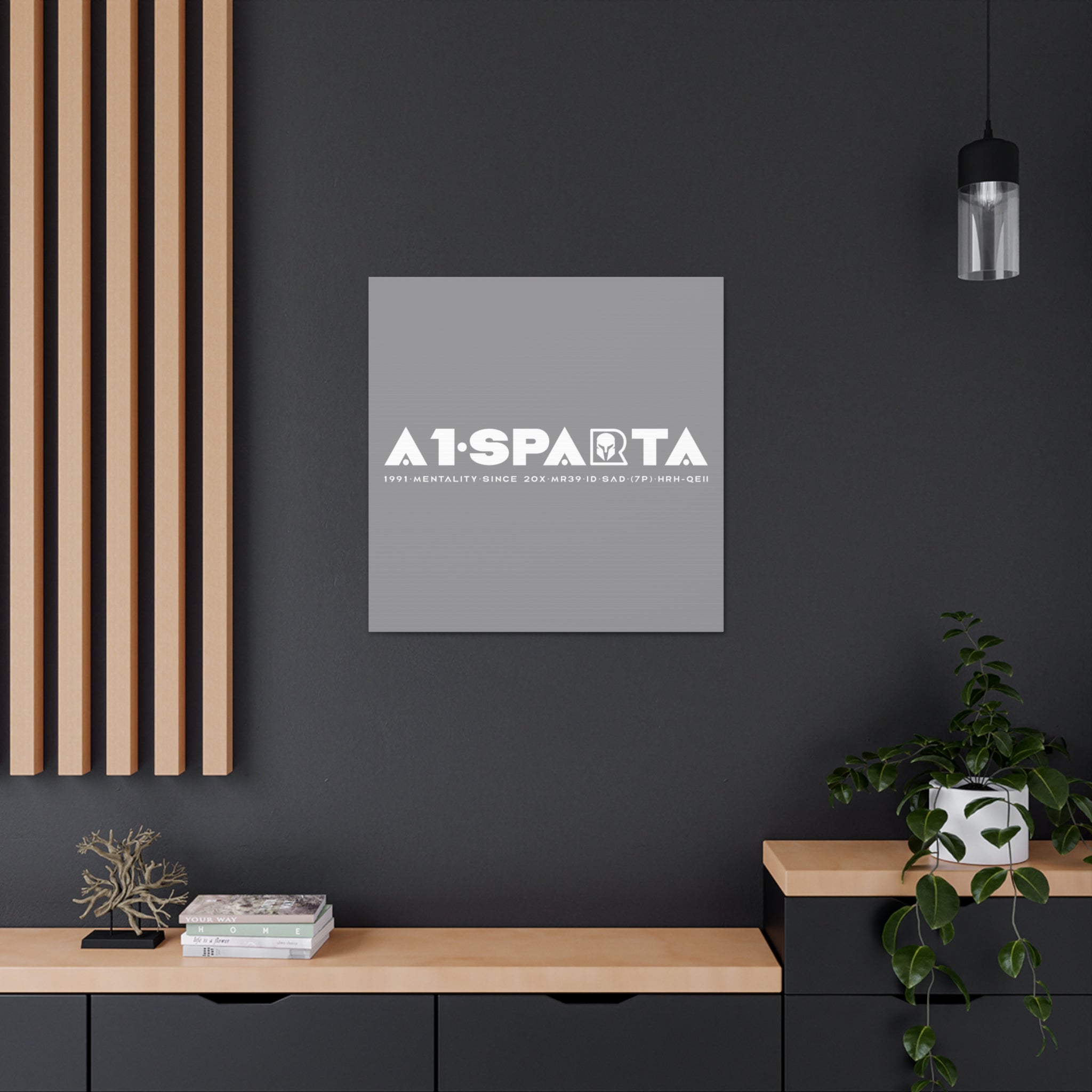 Canvas Gallery Wraps (A1•SPARTA RANGE)