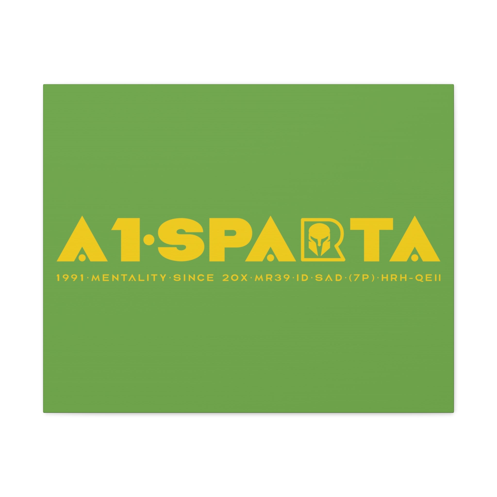 Canvas Gallery Wraps (A1•SPARTA RANGE)